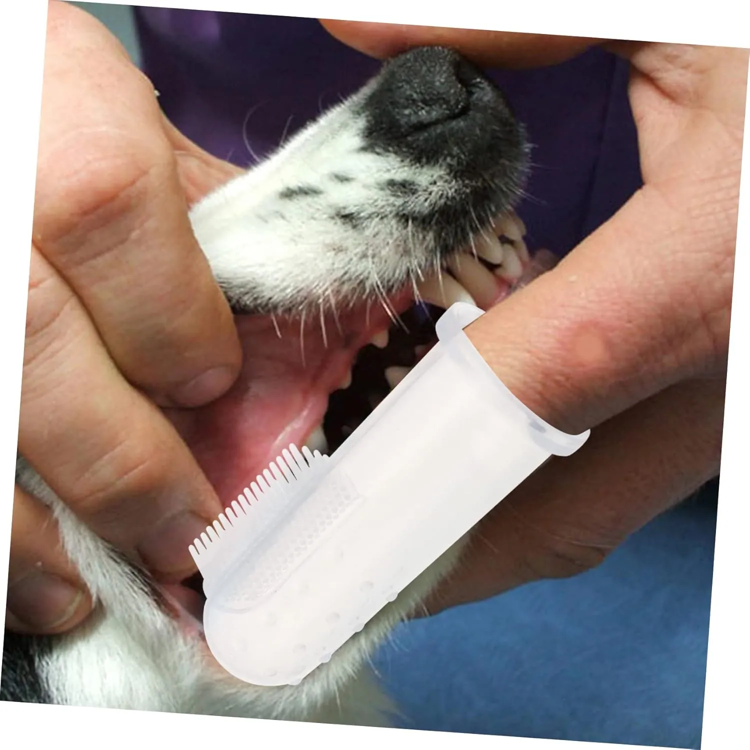 20 Sets Ergonomic Pet Finger Toothbrush for Dogs Dog Toothbrush Pen Soft Silicone Bristles Pet Cleaning Tool
