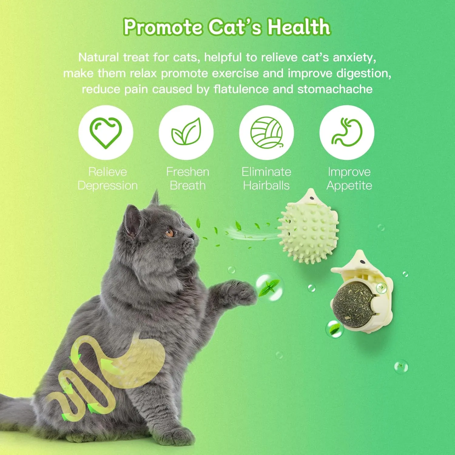 2PCS Catnip Toys for Indoor Cats, Cat Self Groomer with Catnip Ball & Gall Fruit, Cat Toy Ball Stick on Wall, Kitty Teeth Cleaning Dental Chew Toys, Catnip Wall Balls for Cats Lick