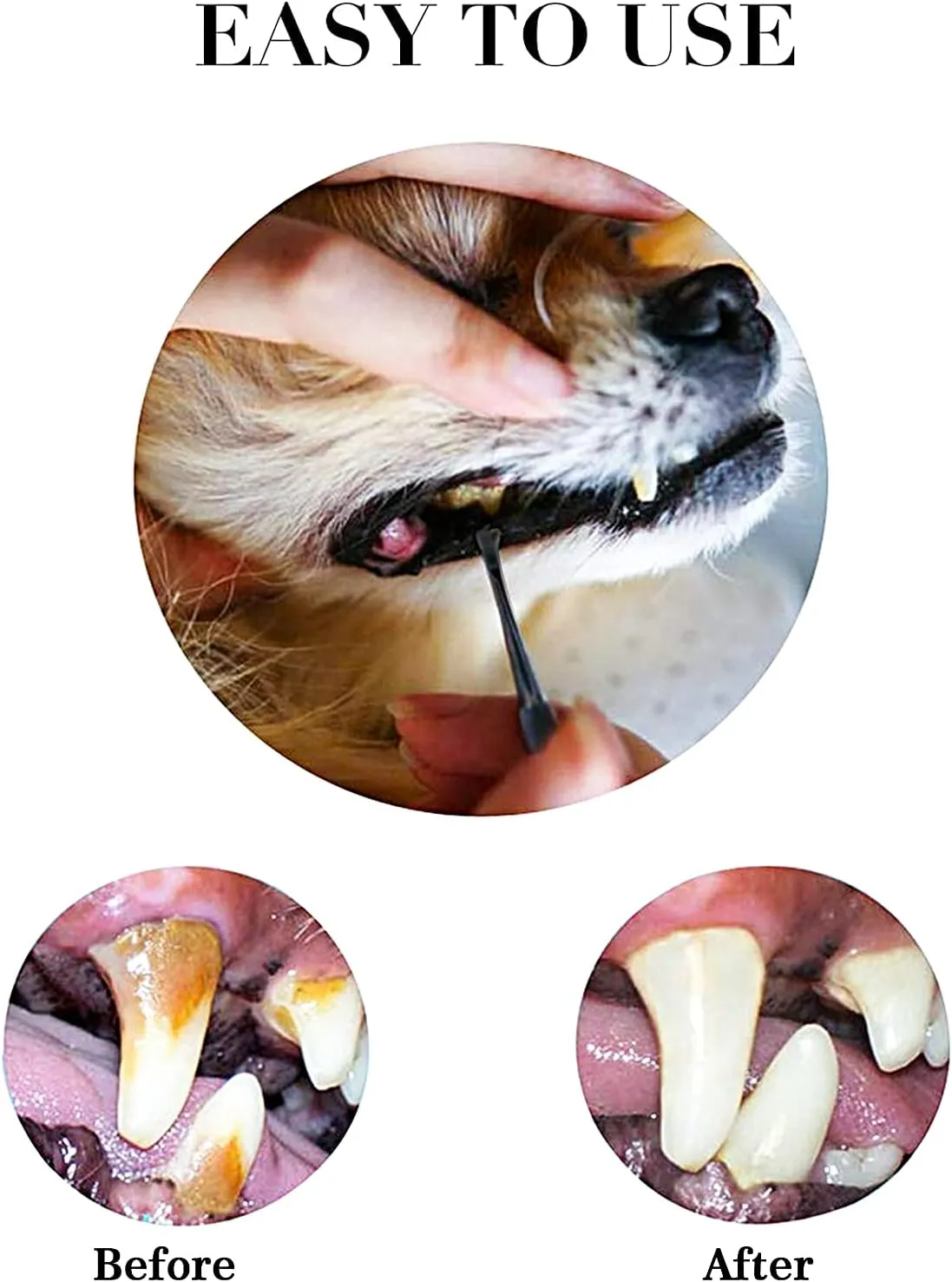3 Pieces Dog Dental Tooth Scaler and Scraper Stainless Double Headed Tarter Removing Tool Scraper Pet Teeth Cleaning Tools for Dog and Cat