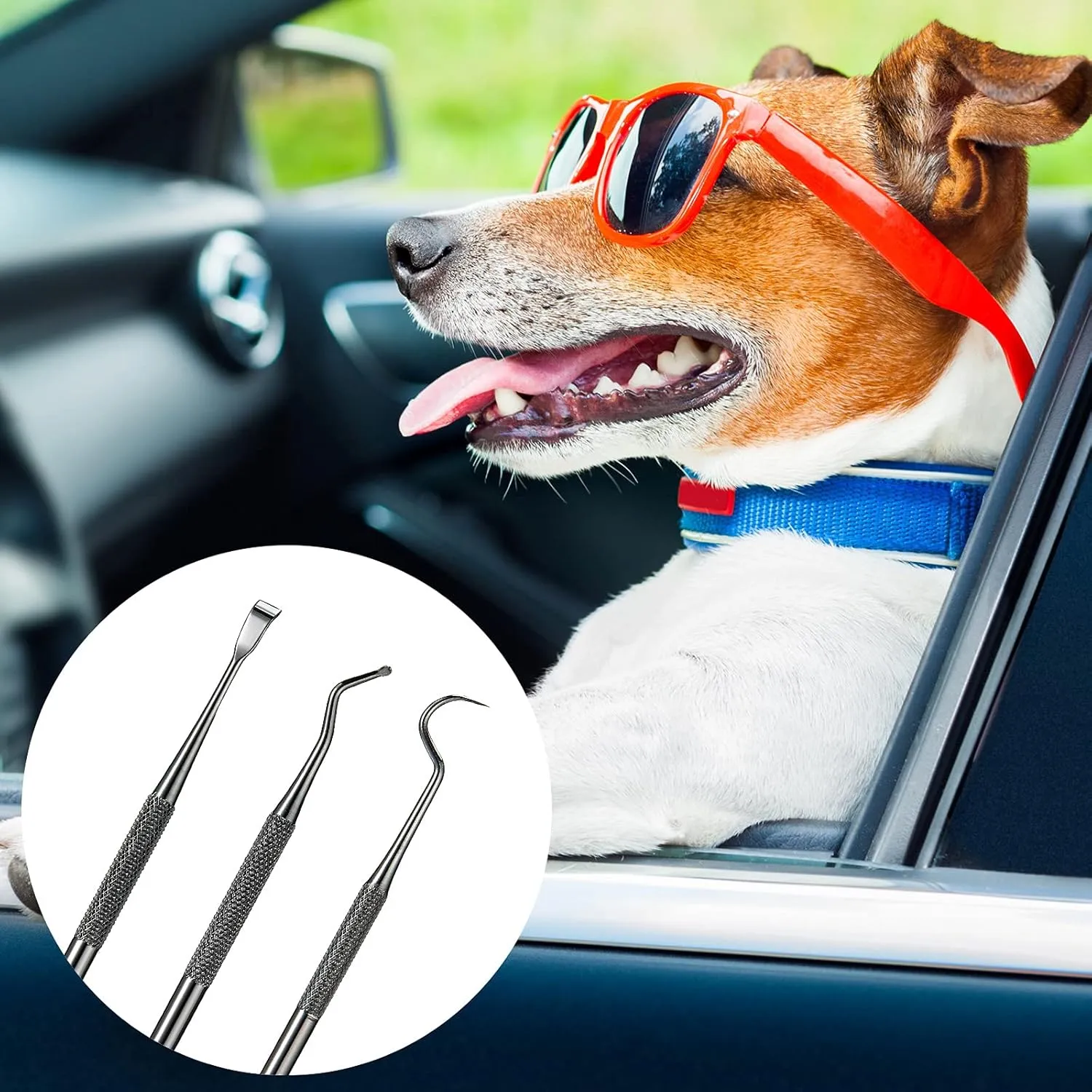 3 Pieces Dog Dental Tooth Scaler and Scraper Stainless Double Headed Tarter Removing Tool Scraper Pet Teeth Cleaning Tools for Dog and Cat