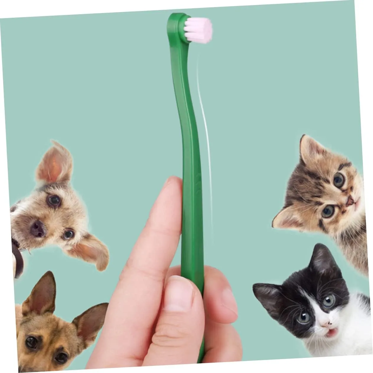 3sets Ergonomic Handle Portable Cat Toothbrush Dog Toothbrush for Puppy Kitten 4pcs*3