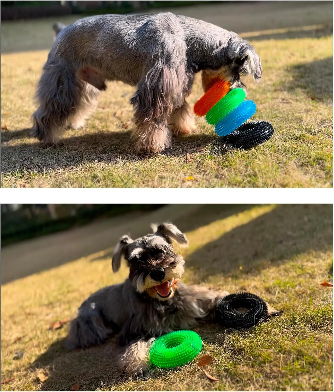 ADUCK Dog Squeaky Chew Toys for Aggressive Chewers, Small Medium Large Dogs Fetch Teeth Cleaning Water Pool Float Indoor Outside Toys-Nontoxic Soft Rubber, Crystal Donut Design-4.92" Pack of 4