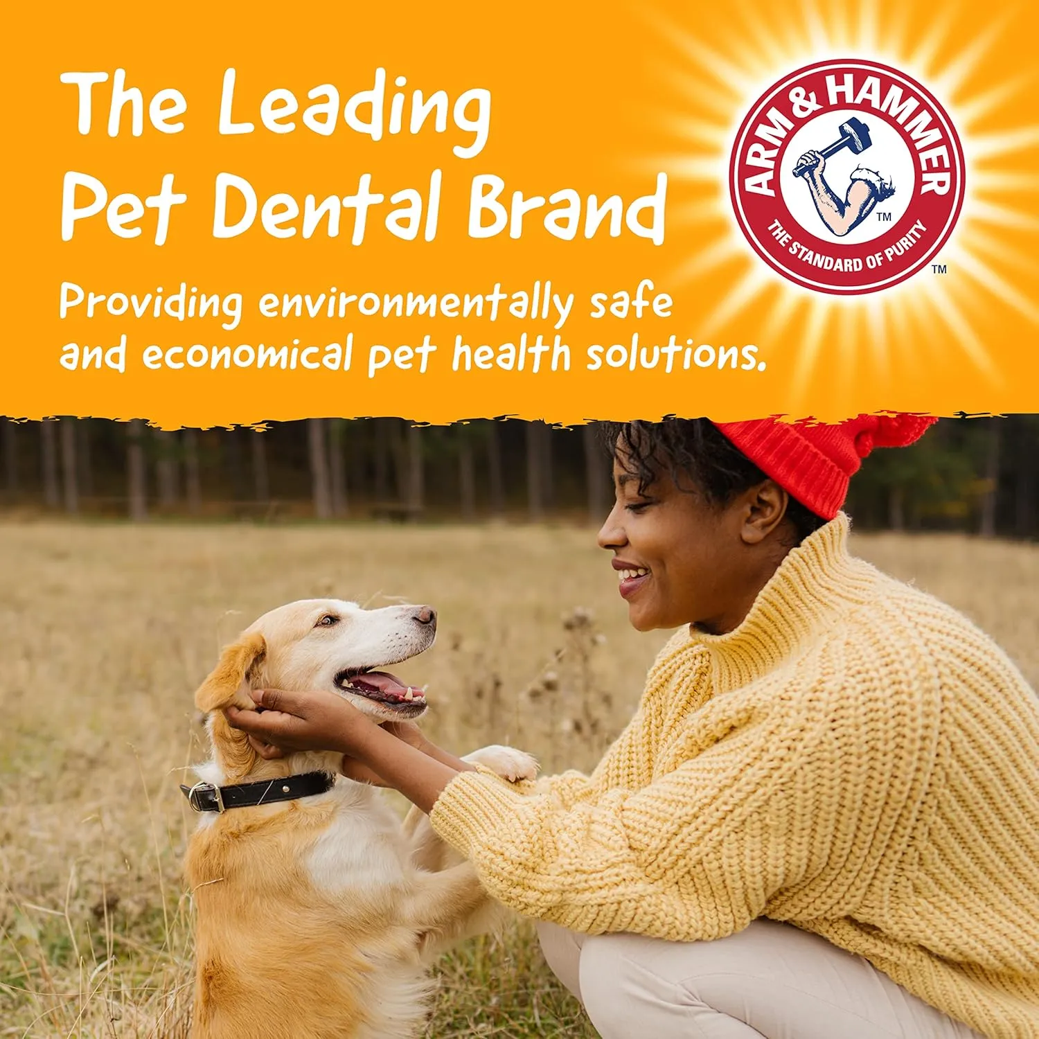 Arm & Hammer for Pets Barkies Tree Bark Compressed Wood Collection, 7 Inch Chicken Flavored Wood Blend Chew Toy for Dogs | Faux Stick, Splinter-Free, Safer & Durable Alternative to Chewing Sticks