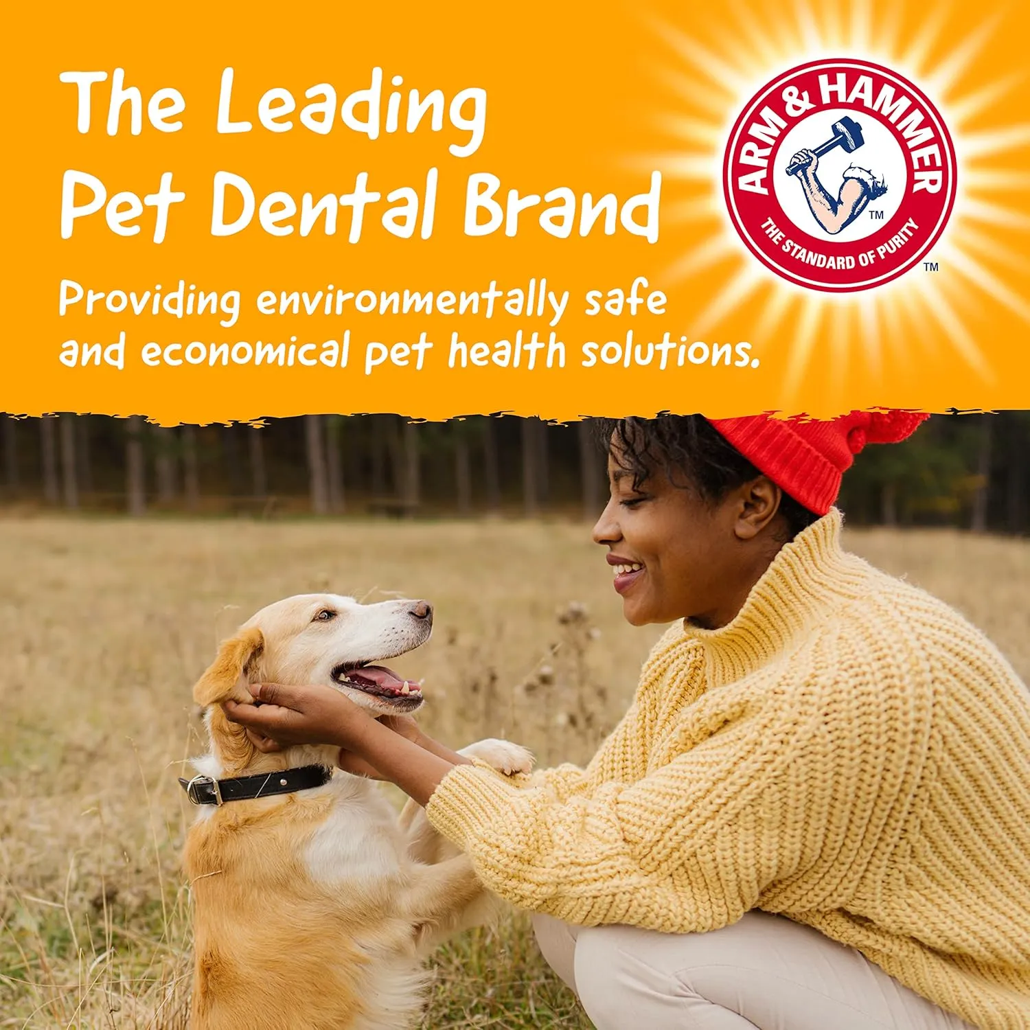 Arm & Hammer for Pets Barkies Tree Branch Compressed Wood Collection, 8 Inch Bacon Flavored Wood Blend Chew Toy for Dogs | Faux Stick, Splinter-Free, Safer & Durable Alternative to Chewing Sticks