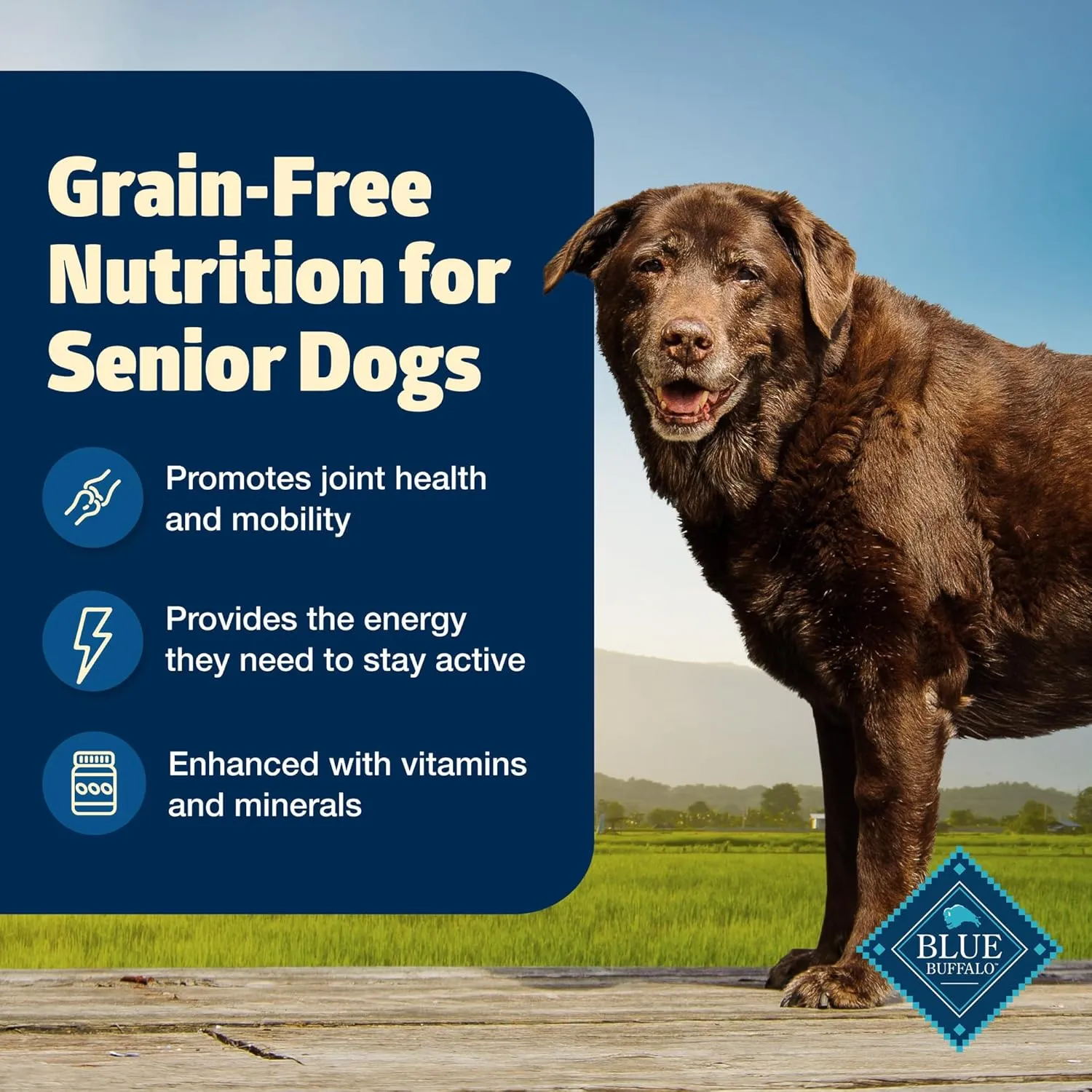 Blue Buffalo Freedom Grain-Free Senior Dry Dog Food, Provides Energy To Stay Active, Made in the USA with Natural Ingredients, Chicken & Potatoes, 24-lb Bag