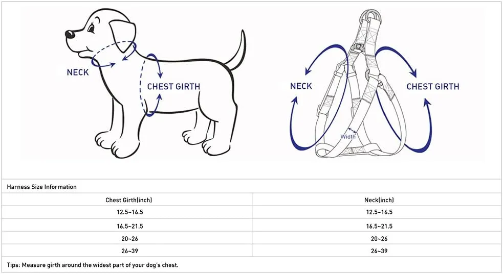 Blueberry Pet 2 Patterns Soft & Comfy Step-in Loving Daisy Prints Padded Dog Harness, Chest Girth 20" - 26", Medium, Adjustable Harnesses for Dogs