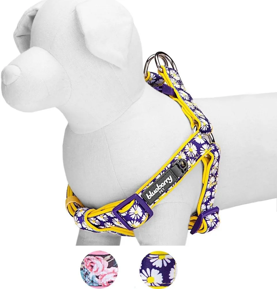 Blueberry Pet 2 Patterns Soft & Comfy Step-in Loving Daisy Prints Padded Dog Harness, Chest Girth 20" - 26", Medium, Adjustable Harnesses for Dogs