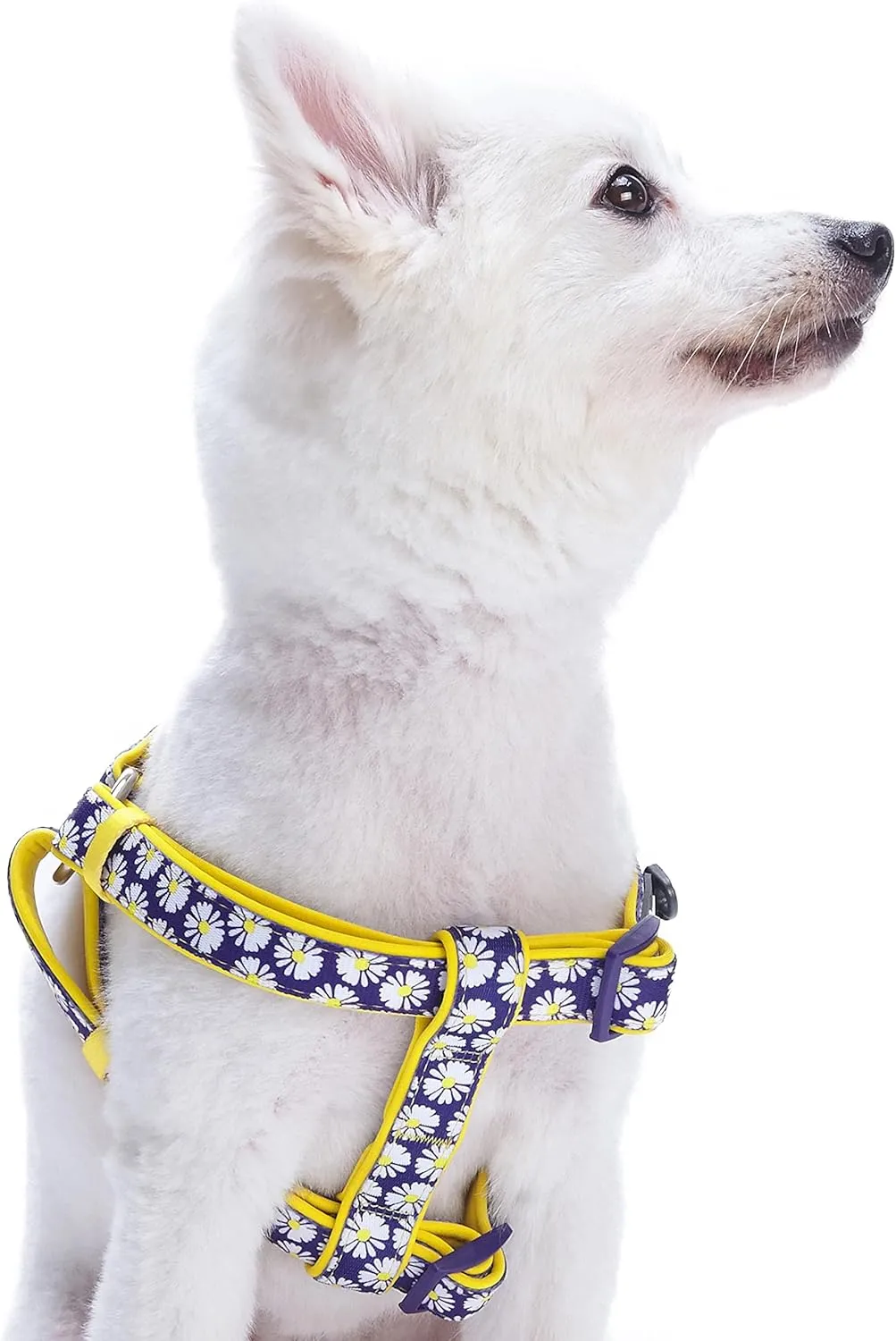 Blueberry Pet 2 Patterns Soft & Comfy Step-in Loving Daisy Prints Padded Dog Harness, Chest Girth 20" - 26", Medium, Adjustable Harnesses for Dogs