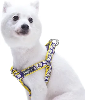 Blueberry Pet 2 Patterns Soft & Comfy Step-in Loving Daisy Prints Padded Dog Harness, Chest Girth 20" - 26", Medium, Adjustable Harnesses for Dogs