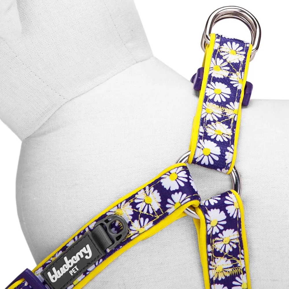 Blueberry Pet 2 Patterns Soft & Comfy Step-in Loving Daisy Prints Padded Dog Harness, Chest Girth 20" - 26", Medium, Adjustable Harnesses for Dogs