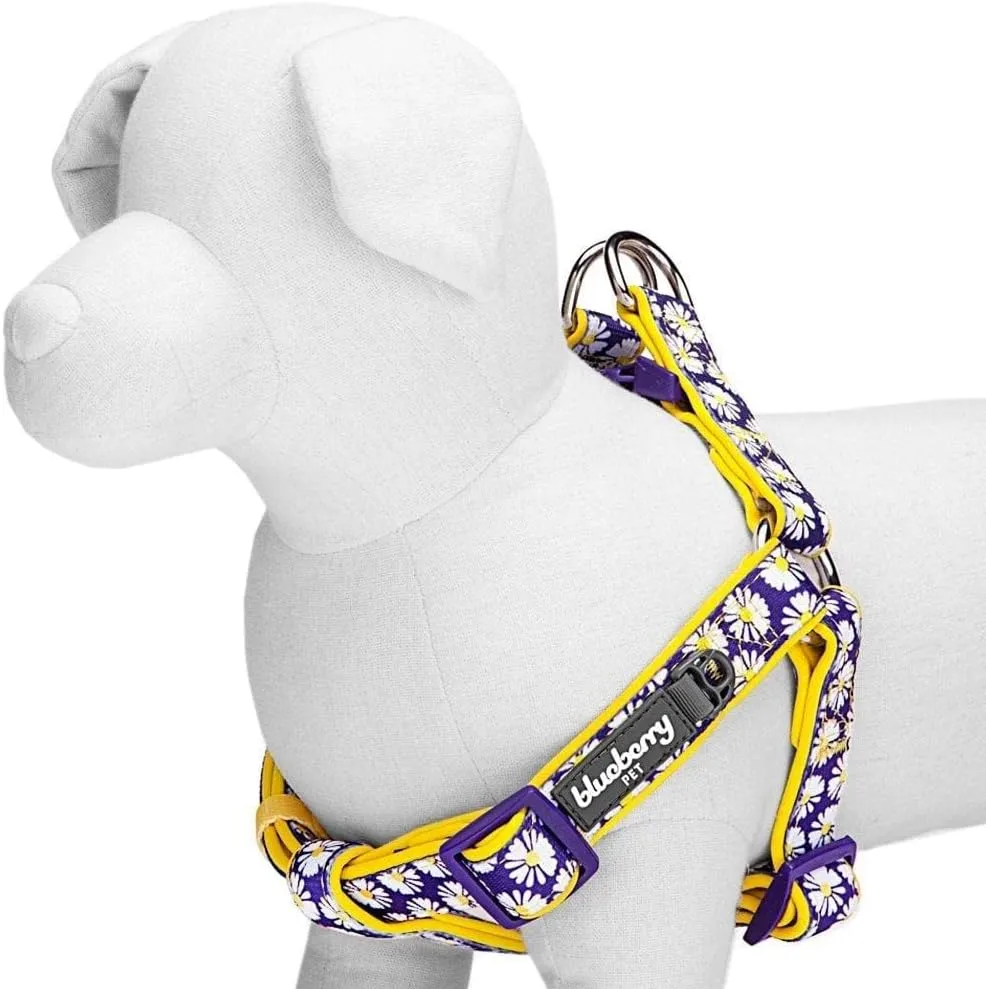 Blueberry Pet 2 Patterns Soft & Comfy Step-in Loving Daisy Prints Padded Dog Harness, Chest Girth 20" - 26", Medium, Adjustable Harnesses for Dogs
