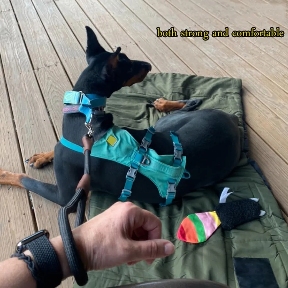 BTINESFUL Short Dog Leash- 18, 24 Inch Strong Nylon Training Traffic Leash- Classic Black No Pull Rope Lead for Medium Large Dogs (1/2" x 18 inch)