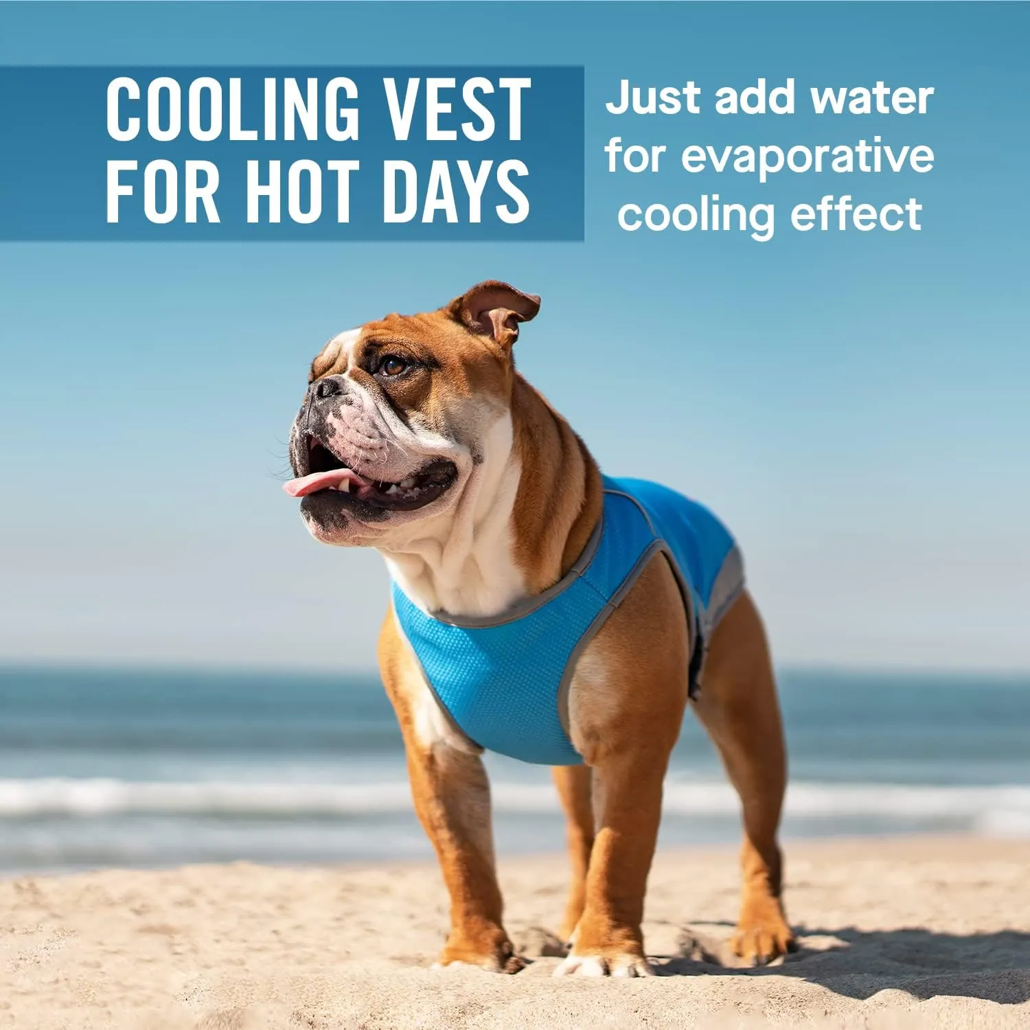 Canada Pooch Dog Cooling Vest - Evaporative Cooling Vest for Dogs with Breathable Mesh Material & Reflective Lining, Adjustable Dog Cooling Vest Great for Dogs 8 (7-9" Back Length), Aqua