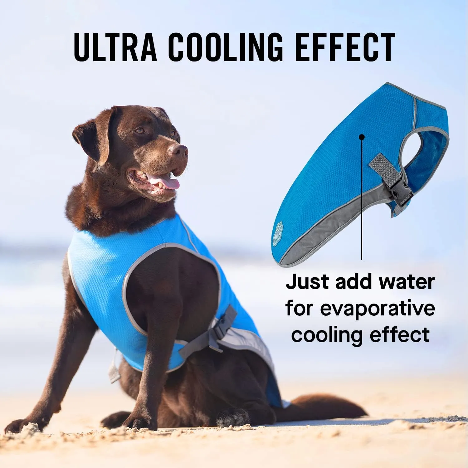 Canada Pooch Dog Cooling Vest - Evaporative Cooling Vest for Dogs with Breathable Mesh Material & Reflective Lining, Adjustable Dog Cooling Vest Great for Dogs 8 (7-9" Back Length), Aqua