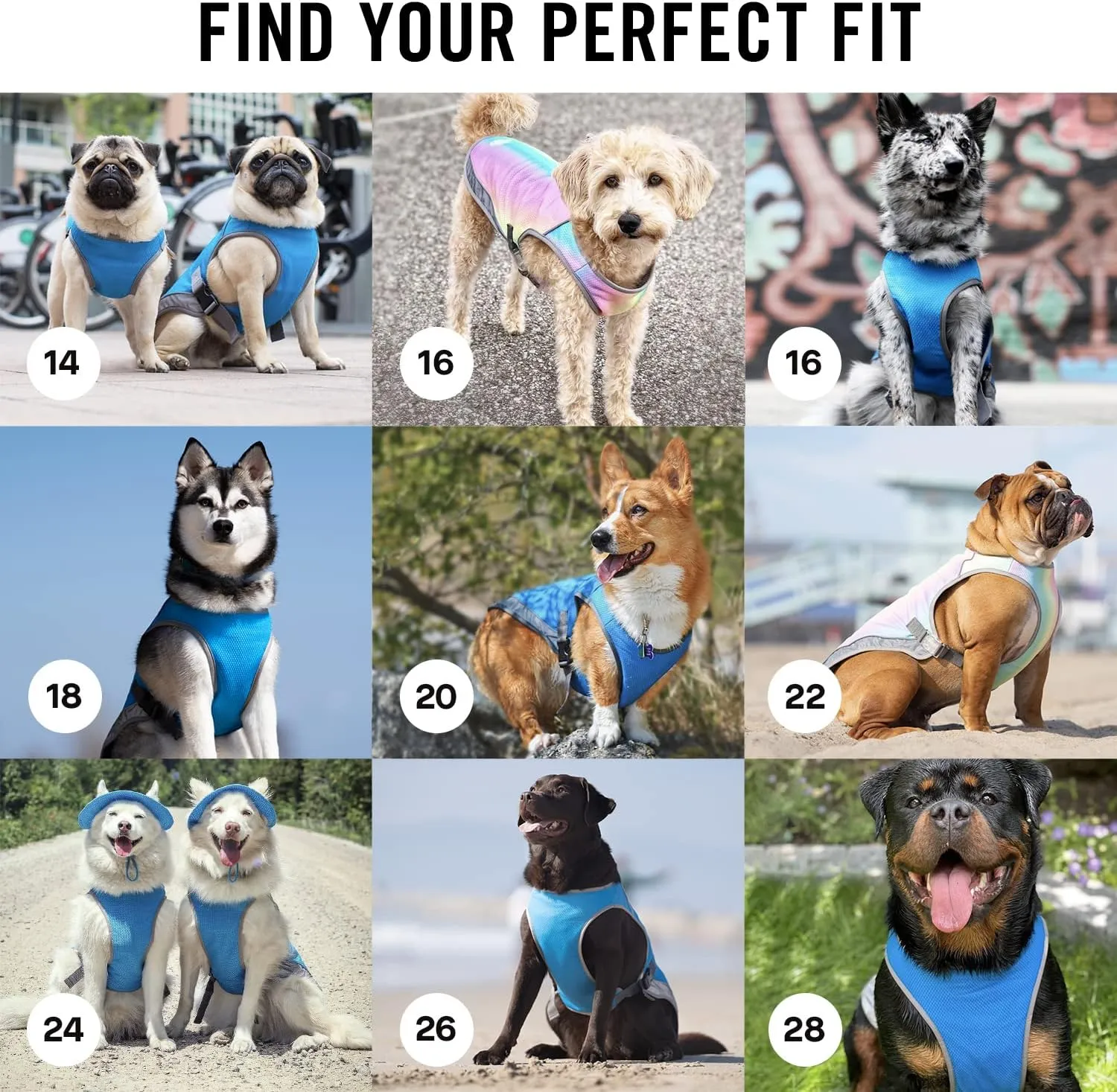 Canada Pooch Dog Cooling Vest - Evaporative Cooling Vest for Dogs with Breathable Mesh Material & Reflective Lining, Adjustable Dog Cooling Vest Great for Dogs 8 (7-9" Back Length), Aqua
