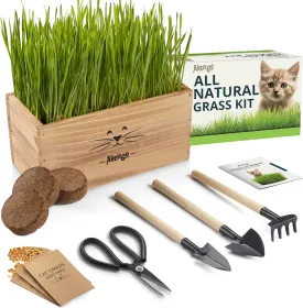 Cat Grass for Indoor Cats - 4X Seed Packets | Pet Cat Grass Kit for Growing Wheat Grass w Planting Seeds, Tools & Planter
