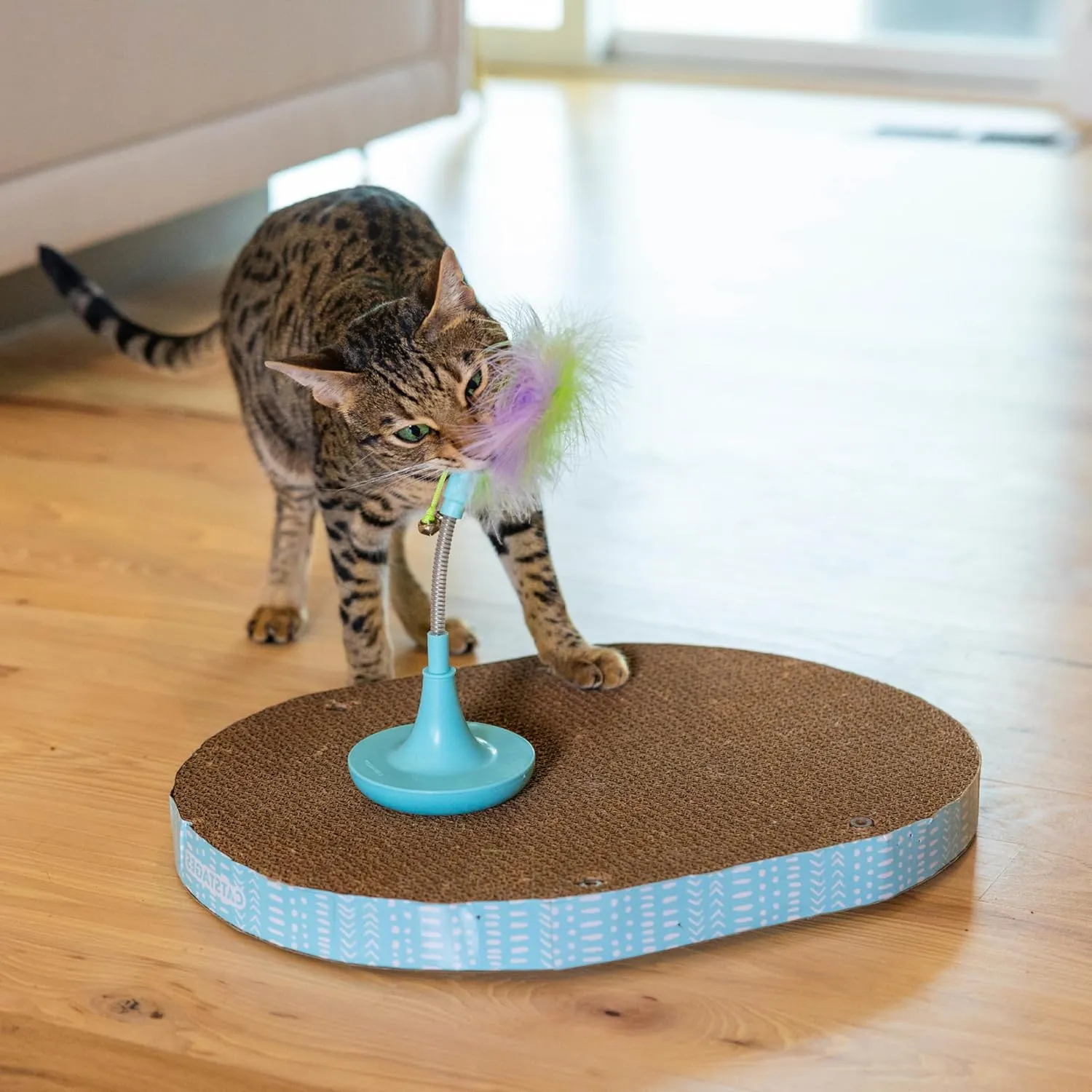 Catstages Feather Spring Scratch Toy Cat Scratcher Topper, Blue
