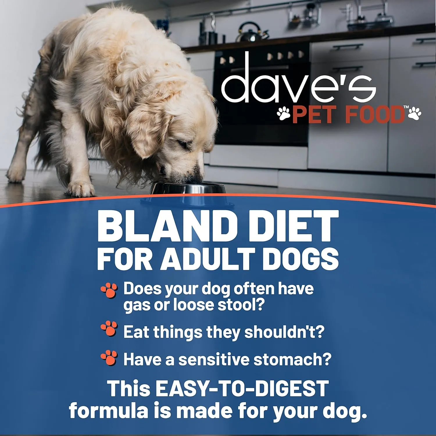 Dave's Pet Food Bland Dog Food (Lamb & Rice), Canned Wet Dog Food for Sensitive Stomachs, Gluten-Free, Digestive Care, 13.2 oz (Case of 12)