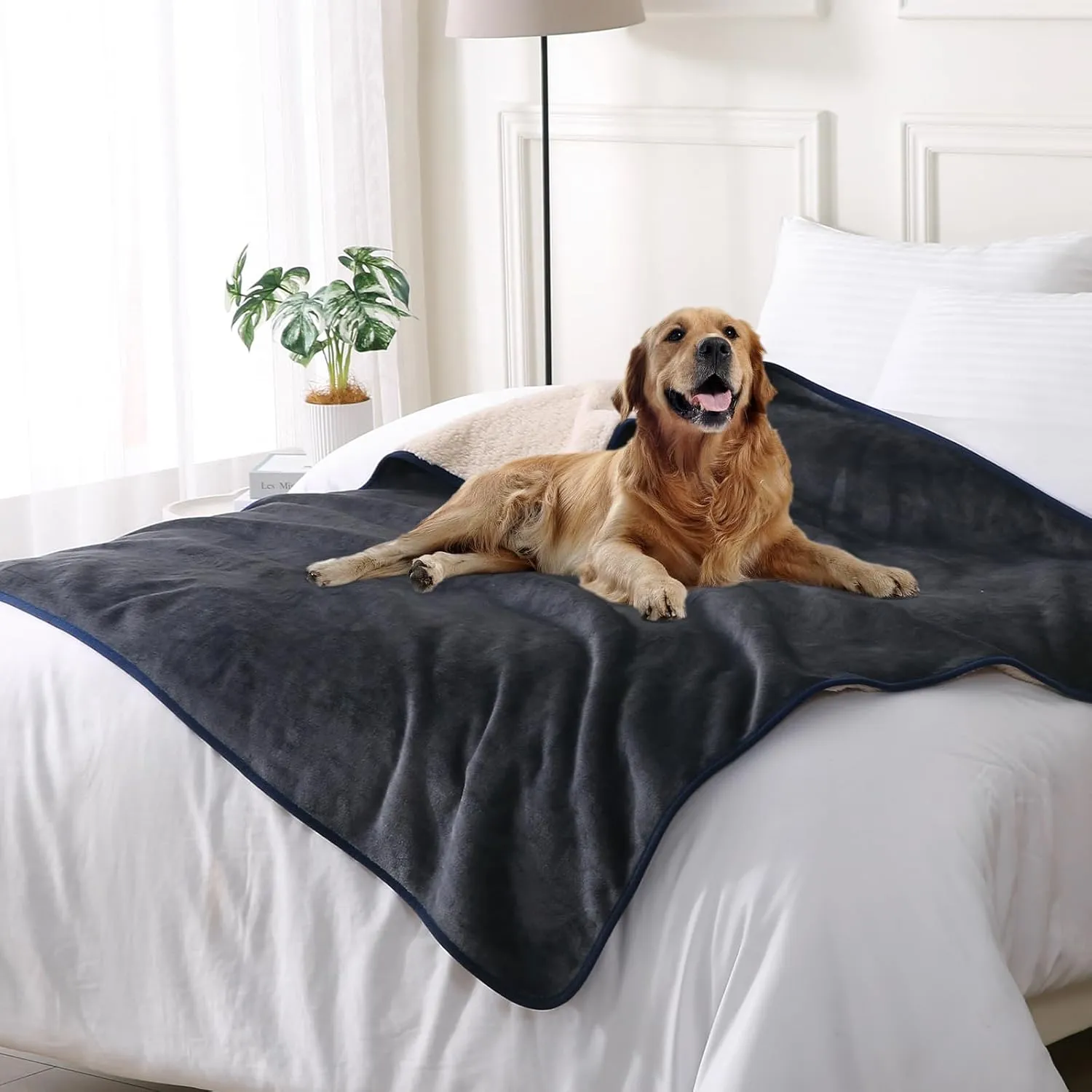 DaysU Waterproof Dog Blanket for Small Dogs - Soft Sherpa Fleece Reversible Pet Blanket, Cat Blanket Washable for Couch Protection, Warm Plush Dog Throw, 40"x50" Grey