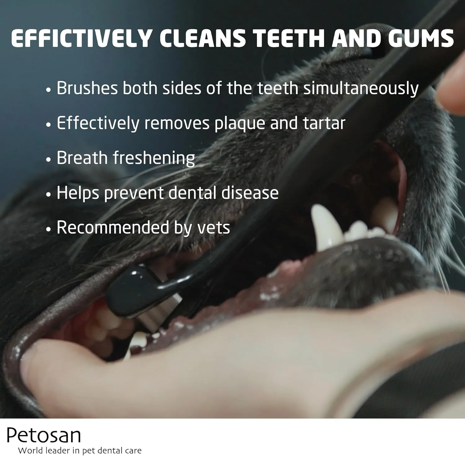 Dental Kit for Dogs with Toothbrush, Toothpaste and Microfiber Cleaner, for Small Dogs Up to 14 lbs