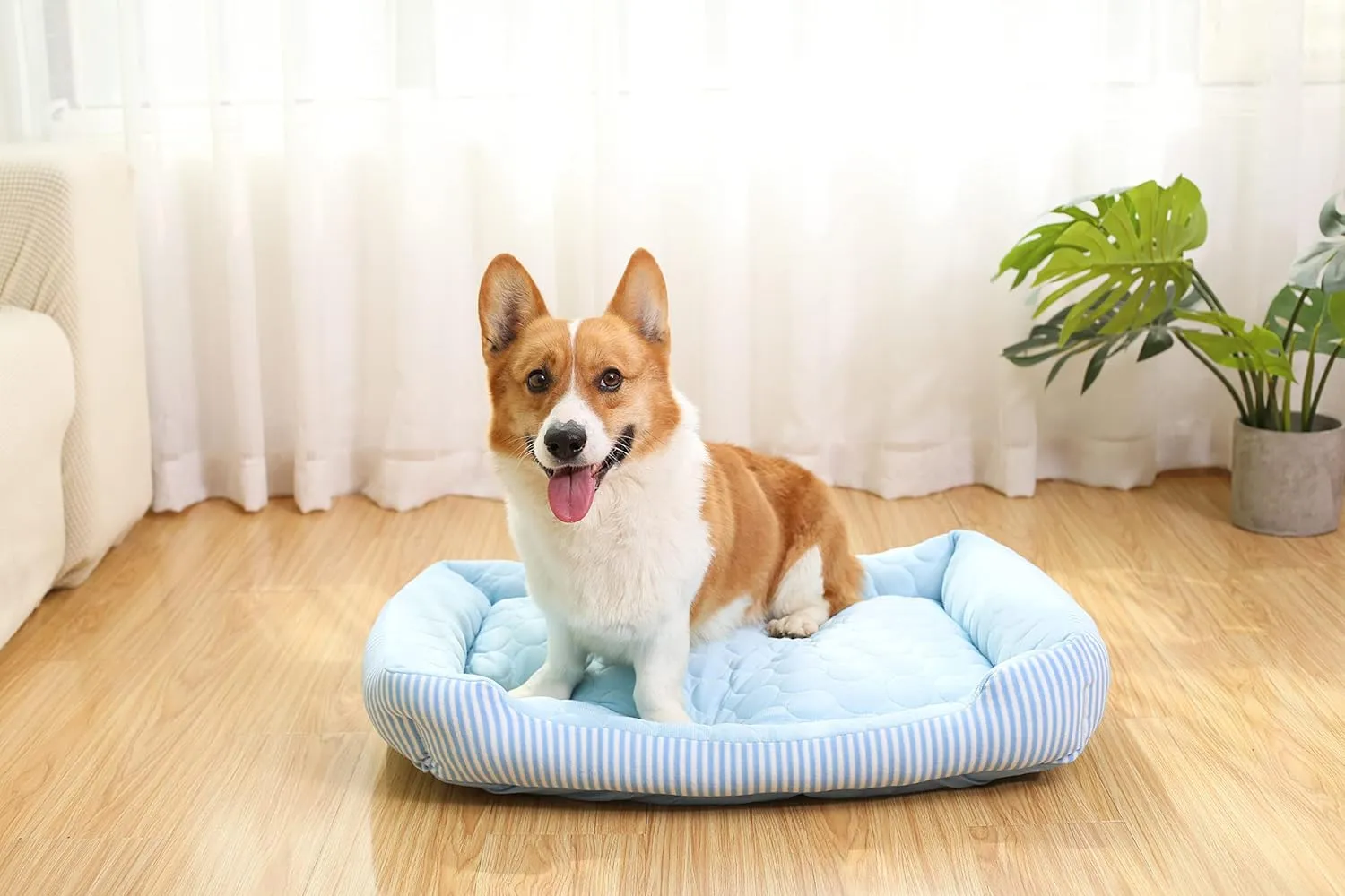 Dog Cooling Bed Summer Sleeping Cool Ice Silk Bed for Small, Medium, Large Dogs & Cats Breathable Washable Pet Beds with Non-Slip Bottom Blue Medium