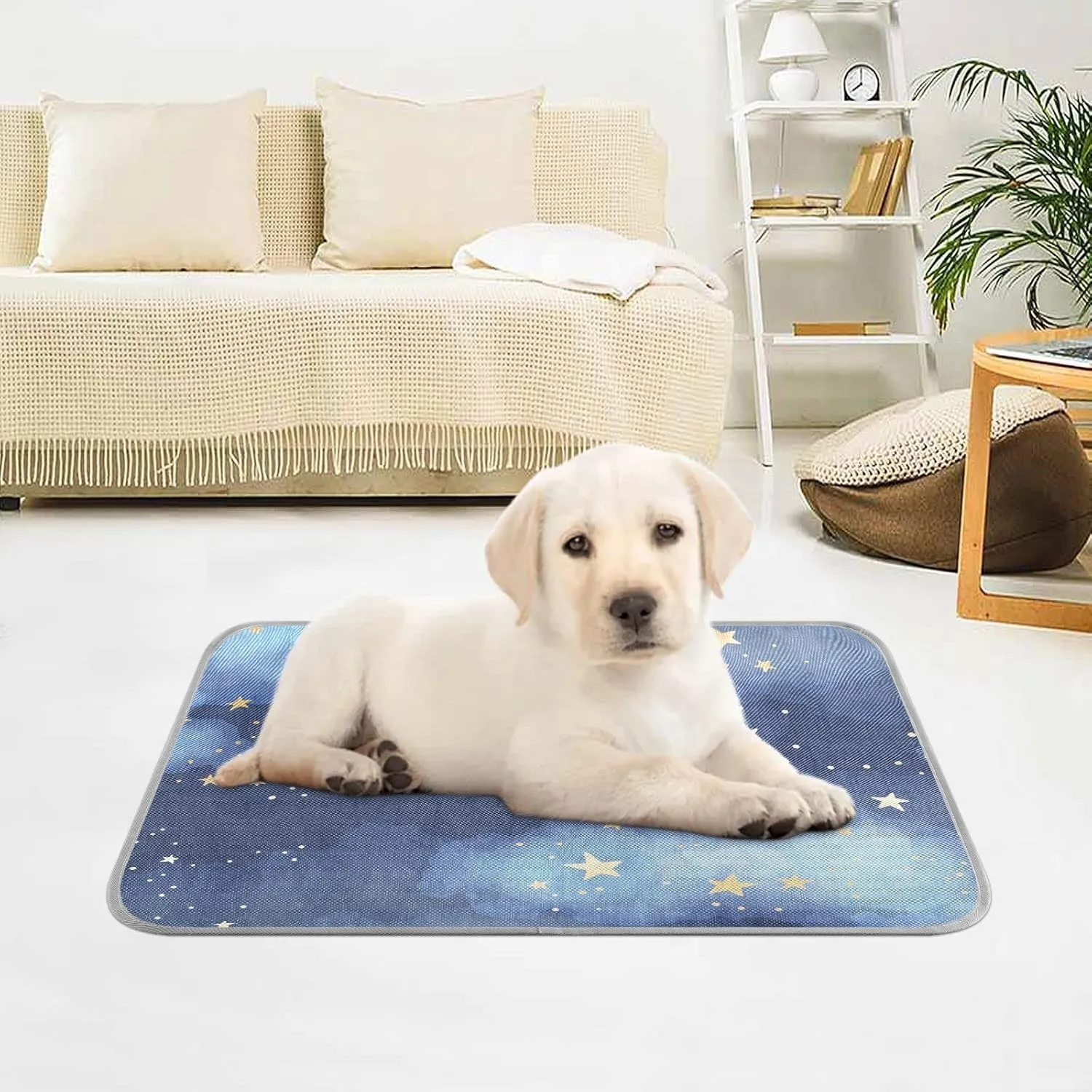 Dog Cooling Mat Ice-Cold Pad for Cat Small Pet Summer Sleeping Mat Cute Travel Cooling Fiber Cool Down Breathable Comfortable Folding Storage Star