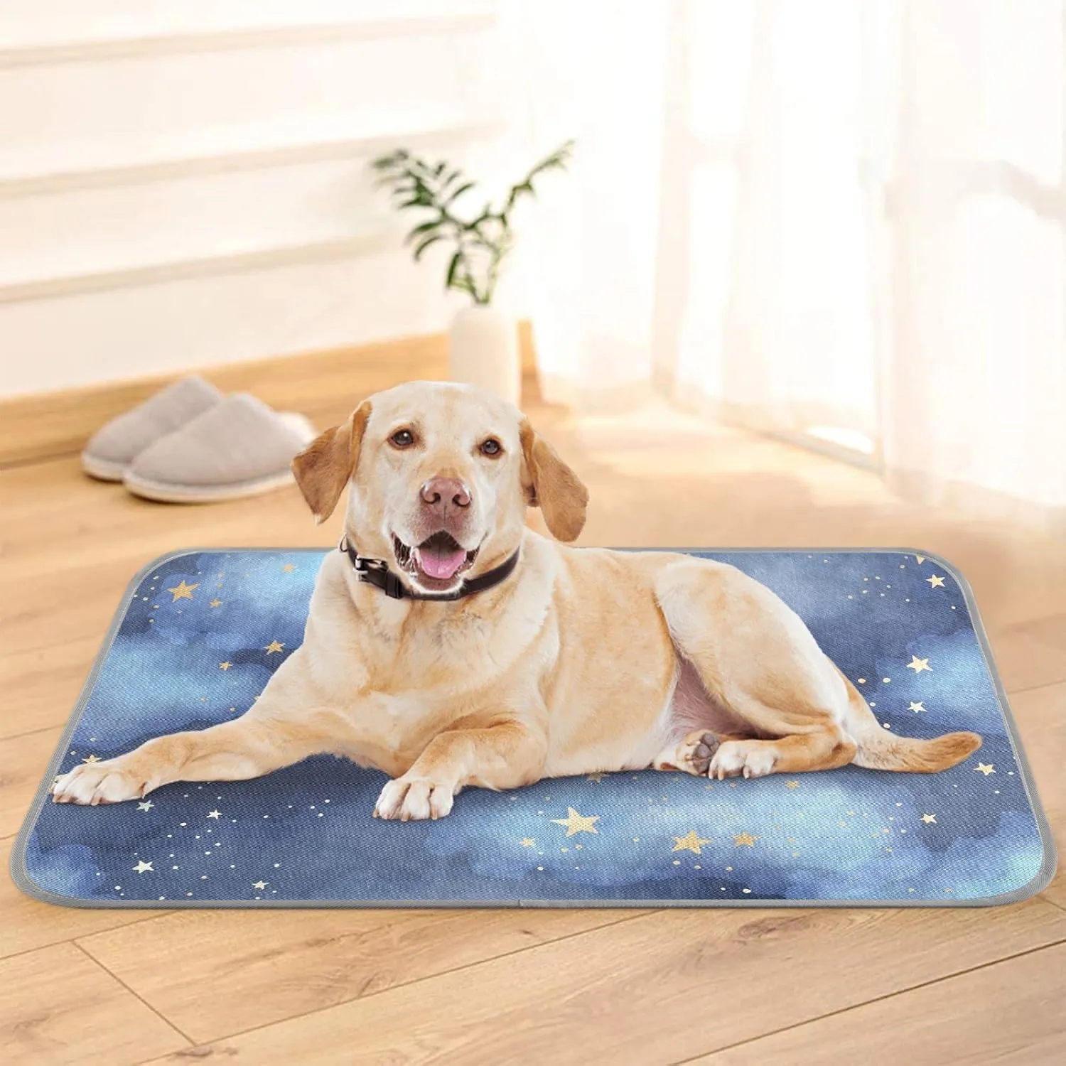 Dog Cooling Mat Ice-Cold Pad for Cat Small Pet Summer Sleeping Mat Cute Travel Cooling Fiber Cool Down Breathable Comfortable Folding Storage Star