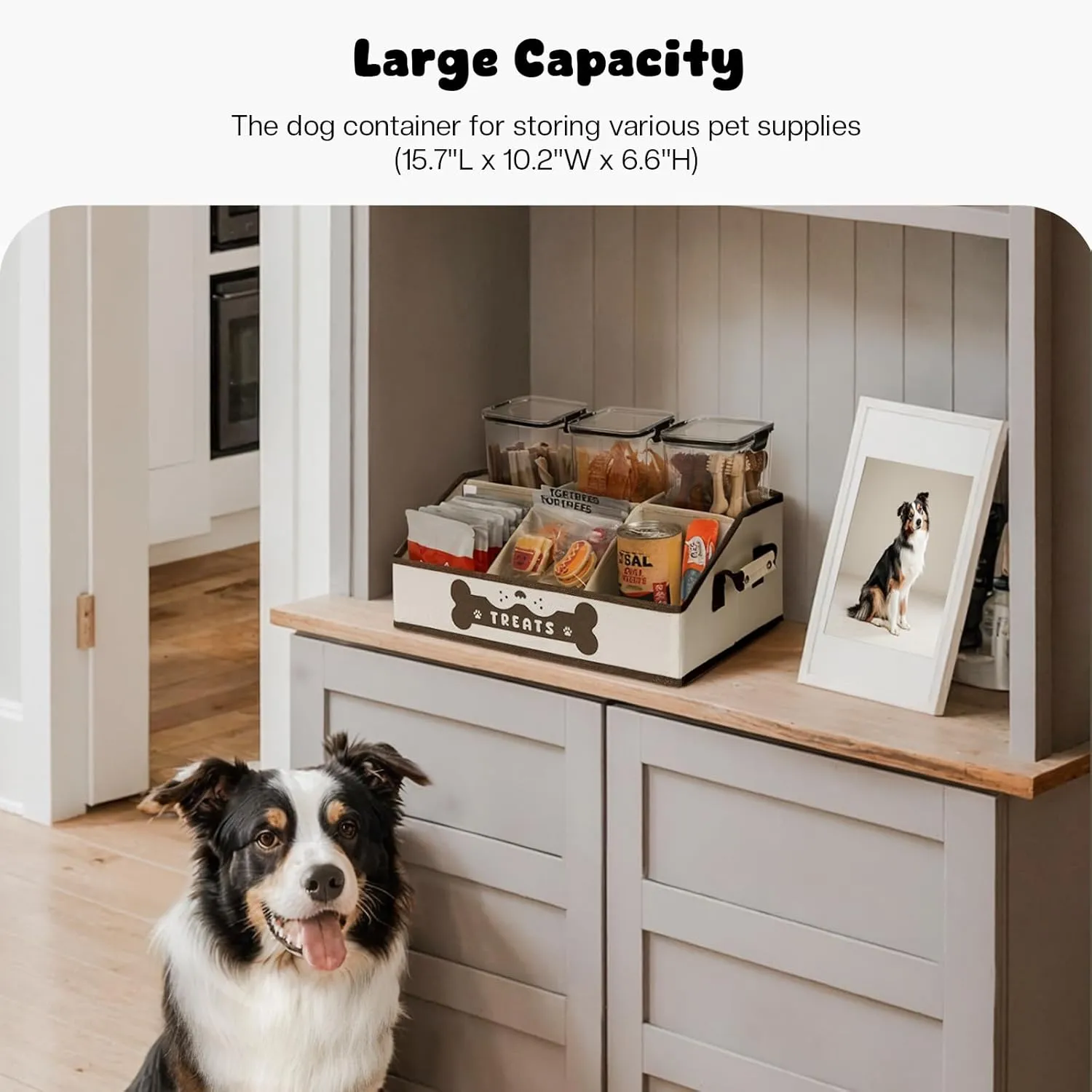 Dog Treat Contanier, Dog Storage Organizer with Removable Dividers, Collapsible Dog Treat Holder for Countertop, Trapezoid Pet Treat Containers for Dogs Food, Dog Toy Basket with PU Handles, Brown