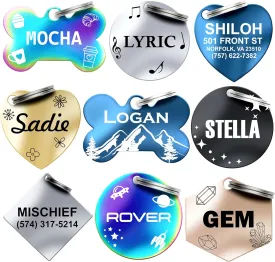 Dr. Fremont's Stainless Steel Custom Pet ID Personalized Engraved Identification Cat and Dog Tags with Custom Text, Many Shapes Including Bone, Heart, Circle (Classic Stainless Steel, Large Bone)