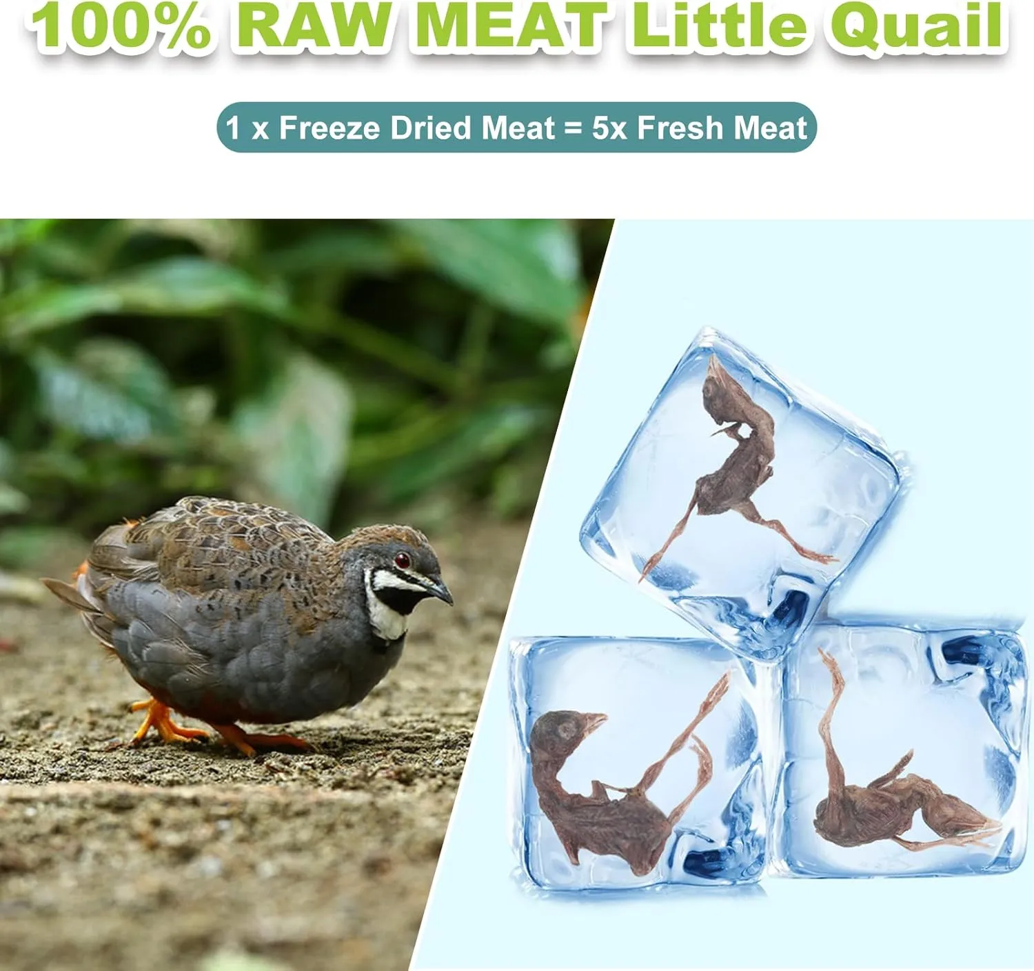 Freeze Dried Cats Treats - Little Quail Natural Dog Treats Delicious Snacks Training Pet Food Healthy Easy Digestion (3 OZ)