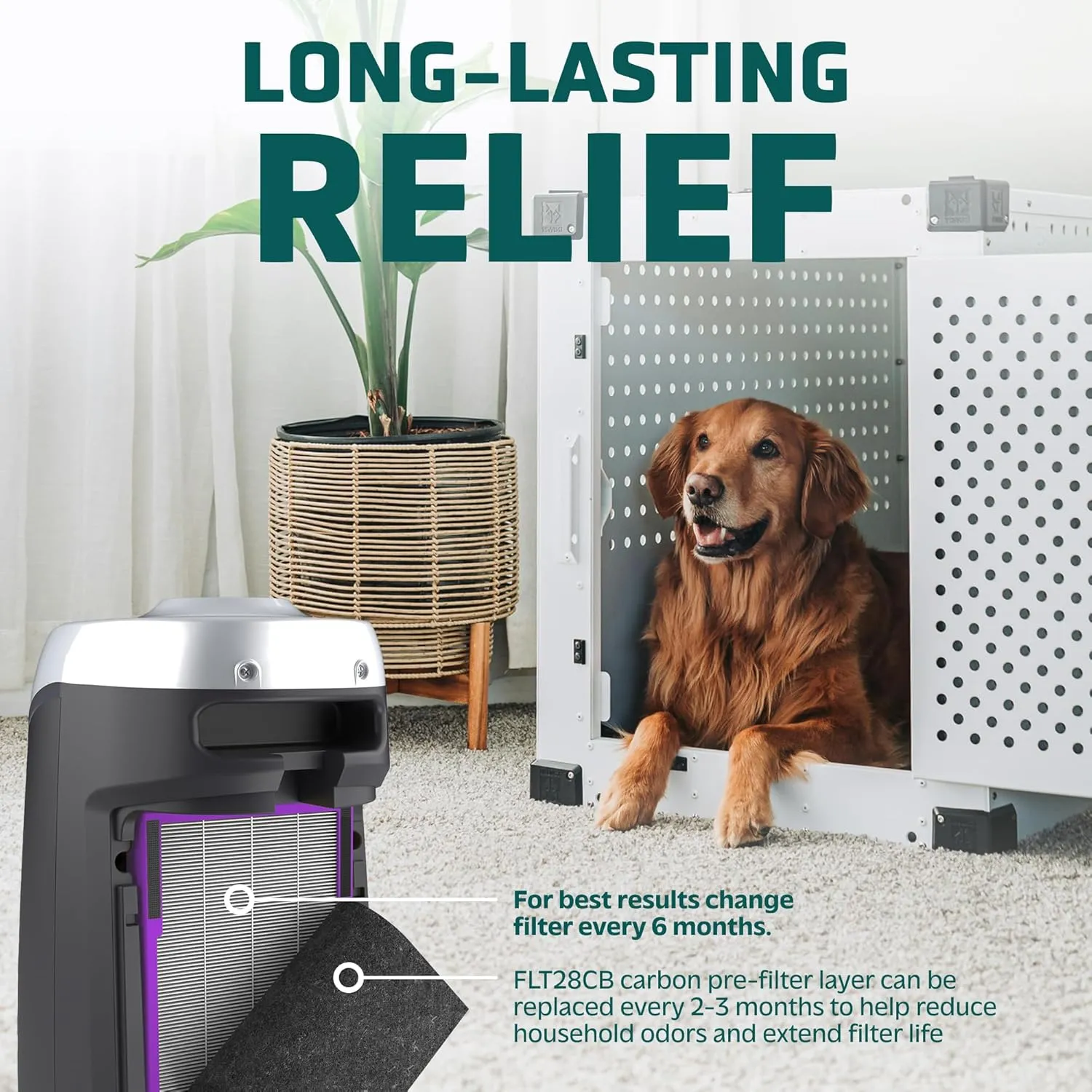 GermGuardian Filter C Pet Pure HEPA Genuine Air Purifier Replacement Filter, Removes 99.97% of Pollutants, for AC5000, AC5250, AC5300, AC5350, CDAP5500, AP2800, 2-Pack, Black/Purple, FLT5250PT2PK