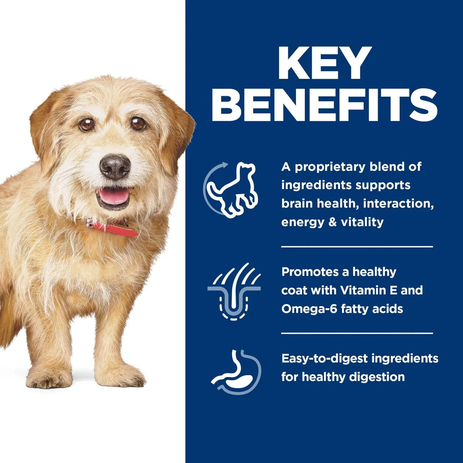 Hill's Science Diet Adult 7  Senior Vitality Small & Mini Chicken & Rice Recipe Dry Dog Food 3.5 lbs.