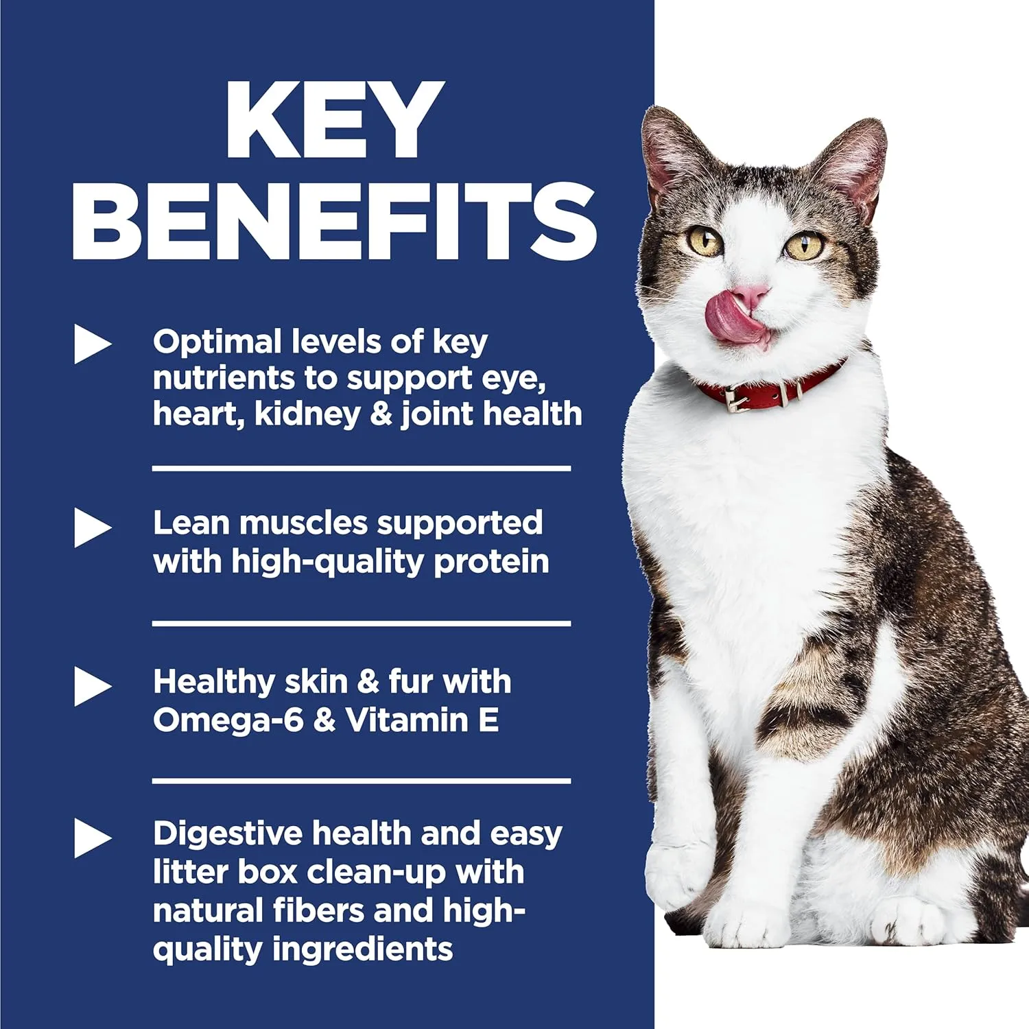 Hill's Science Diet Indoor, Senior Adult 11 , Easy Litter Box Cleanup, Dry Cat Food, Chicken Recipe, 7 lb Bag