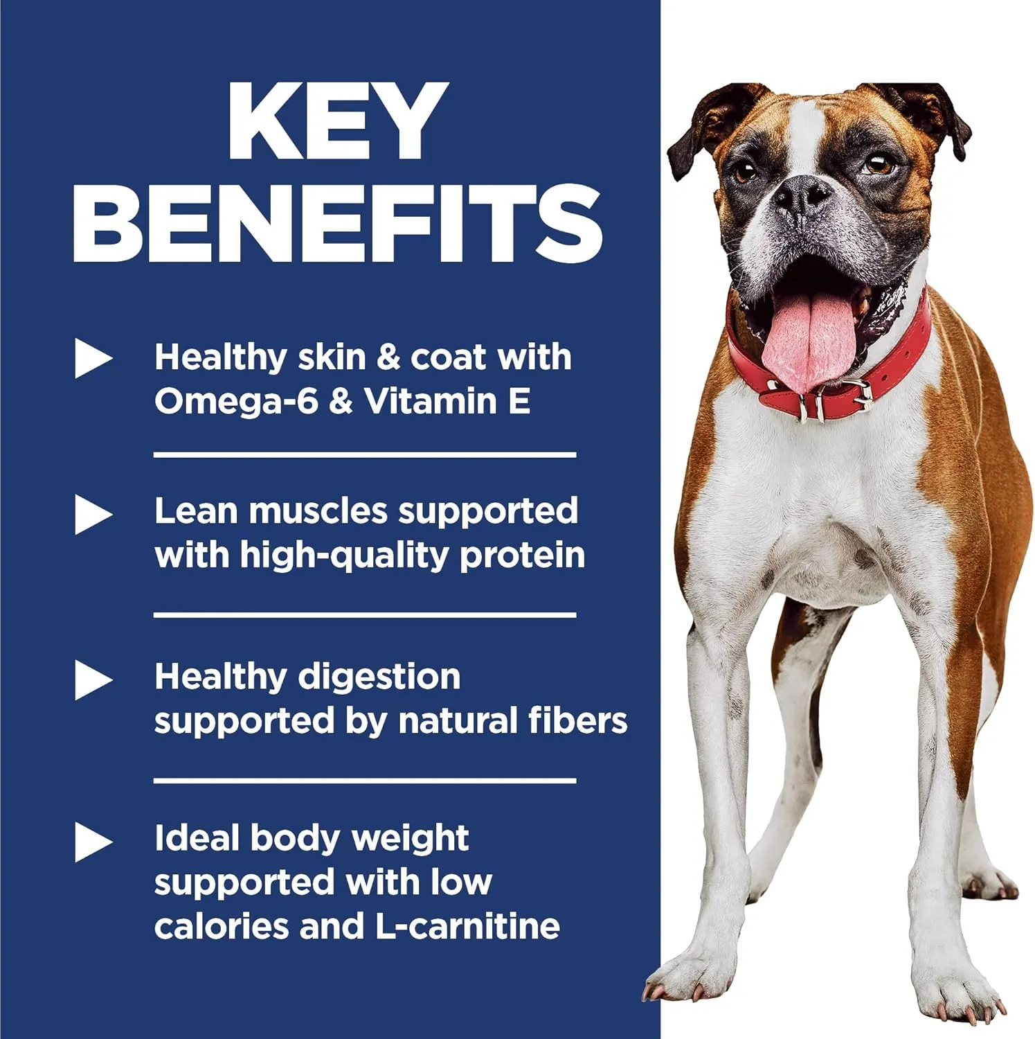 Hill's Science Diet Light , Adult 1-6, Weight Management Support, Dry Dog Food, Chicken & Barley, 30 lb Bag