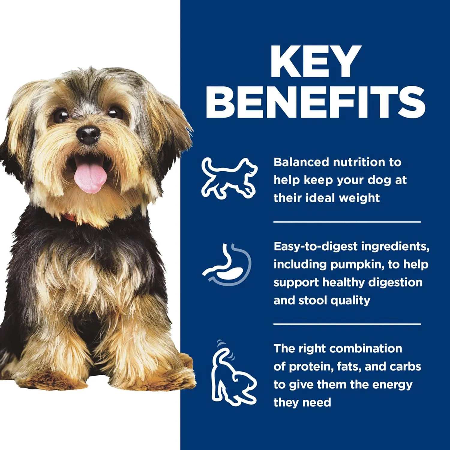 Hill's Science Diet Small & Mini, Adult 1-6, Small Breeds Premium Nutrition, Wet Dog Food, Variety Case: Chicken & Vegetables; Salmon & Vegetables Stew, 12 x 3.5 oz Tray