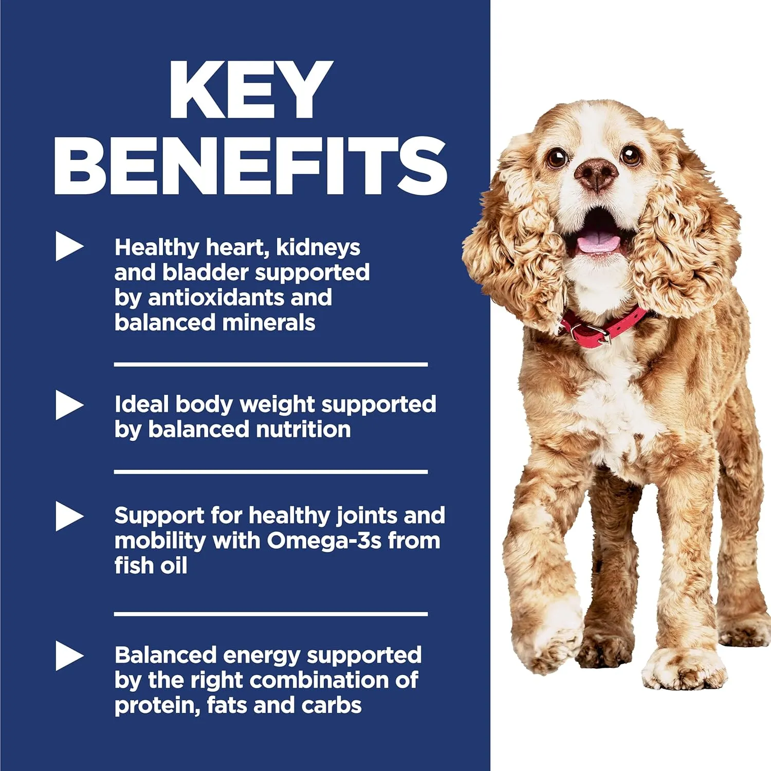 Hill's Science Diet Small & Mini, Senior Adult 11 , Small & Mini Breeds Senior Premium Nutrition, Dry Dog Food, Chicken, Brown Rice & Barley, 15.5 lb Bag