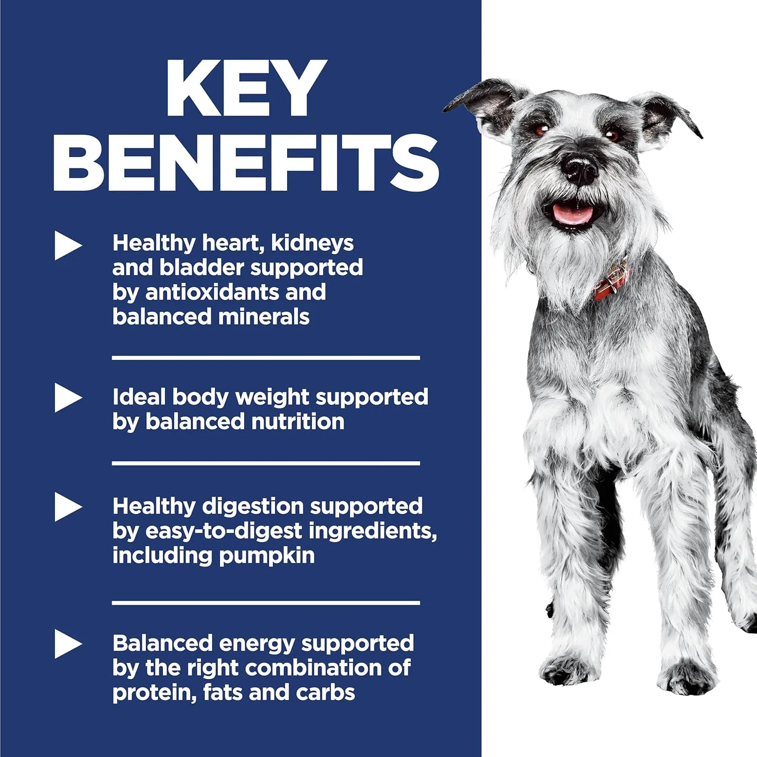 Hill's Science Diet Small & Mini, Senior Adult 7 , Small & Mini Breeds Senior Premium Nutrition, Dry Dog Food, Chicken, Brown Rice, & Barley, 4.5 lb Bag