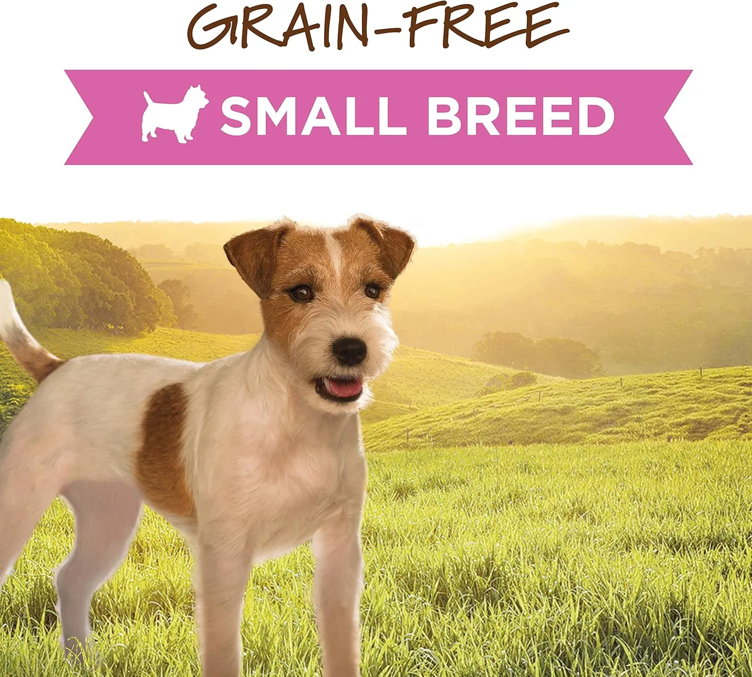 Instinct Original Small Breed Wet Canned Dog Food, Grain Free Recipe - Real Beef, 3 oz. Cans (Pack of 24)