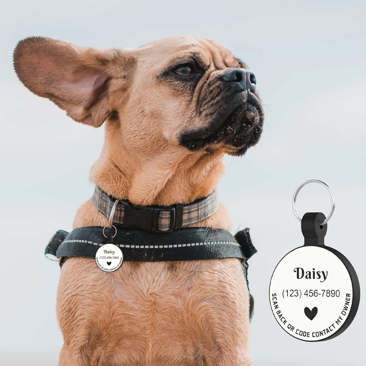 MYLUCKYTAG Personalized Pet ID Tags Dog Tags - Silent Silicone QR Code ID Tags - Pet Online Profile - Send Pet Location Alert Email When Scanning, Custom Text Pro,white