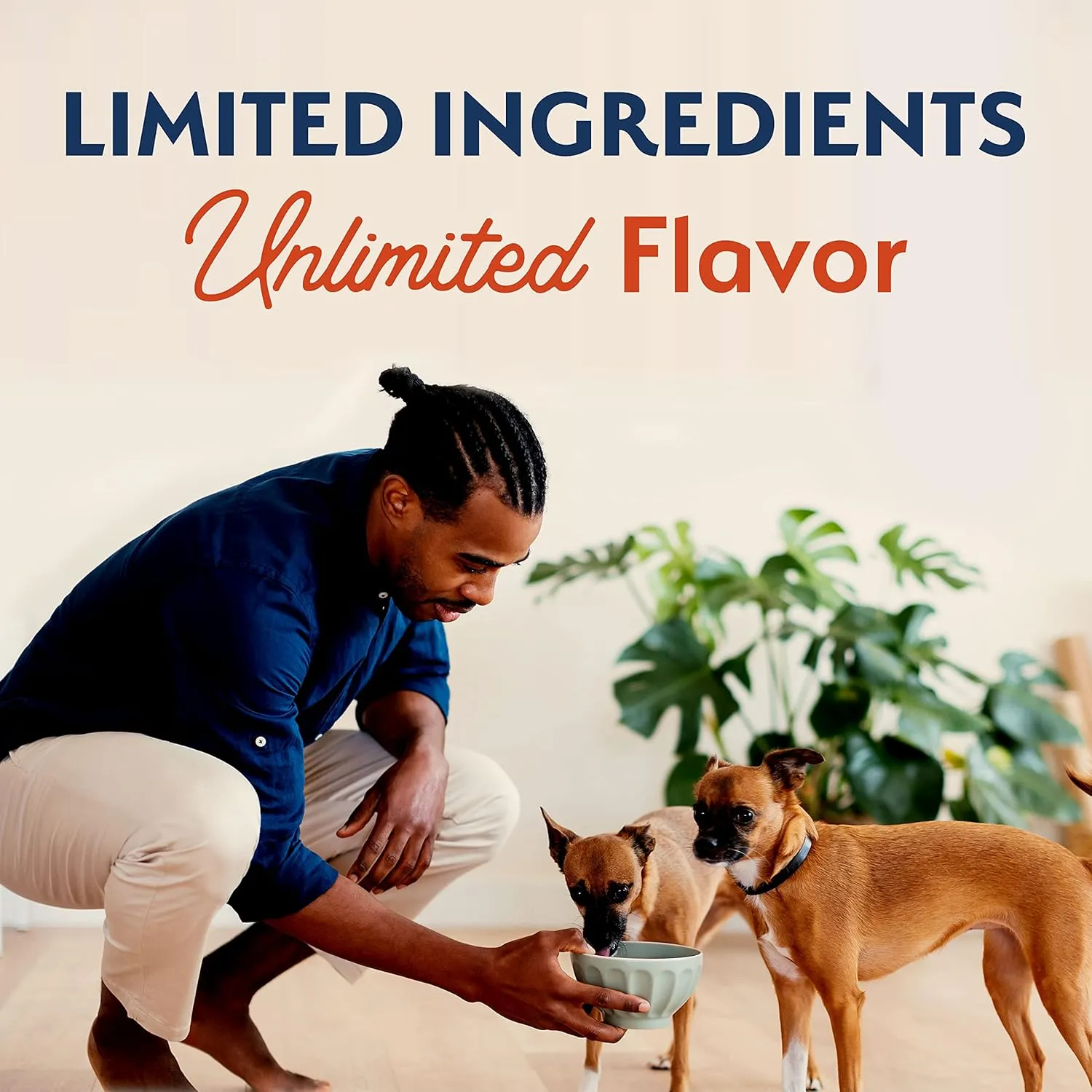 Natural Balance Limited Ingredient Diet Salmon & Sweet Potato | Small-Breed Adult Grain-Free Dry Dog Food | 12-lb. Bag