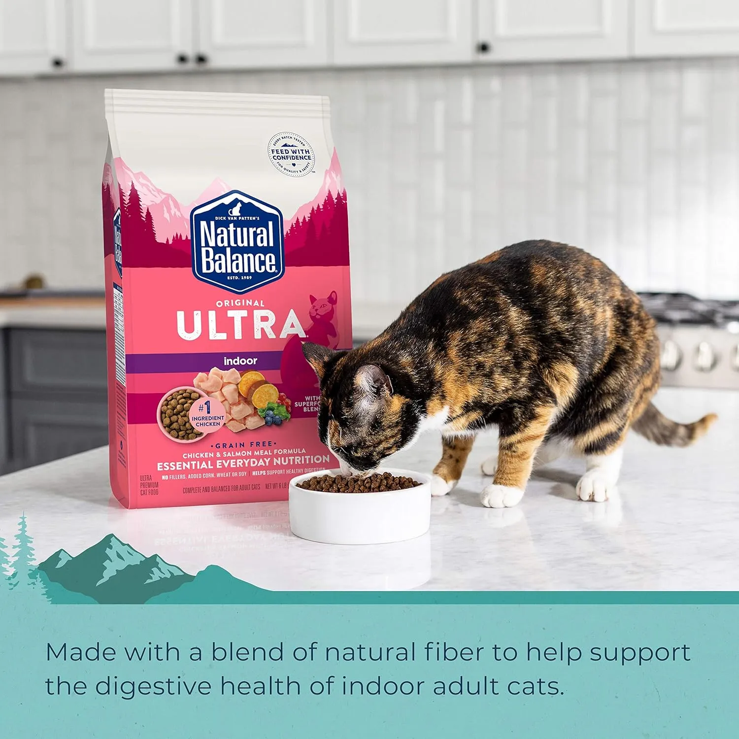 Natural Balance Original Ultra Indoor Chicken & Salmon Meal Cat Food | Dry Food for Indoor Adult Cats | 15-lb. Bag
