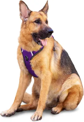 No Pull Dog Harness, Reflective Walking Dog Harness with Easy Control Handle and Front & Back Clips,Adjustable Breathable Soft Padded Dog Vest Harness for Large Medium Small Dogs,Purple,XL