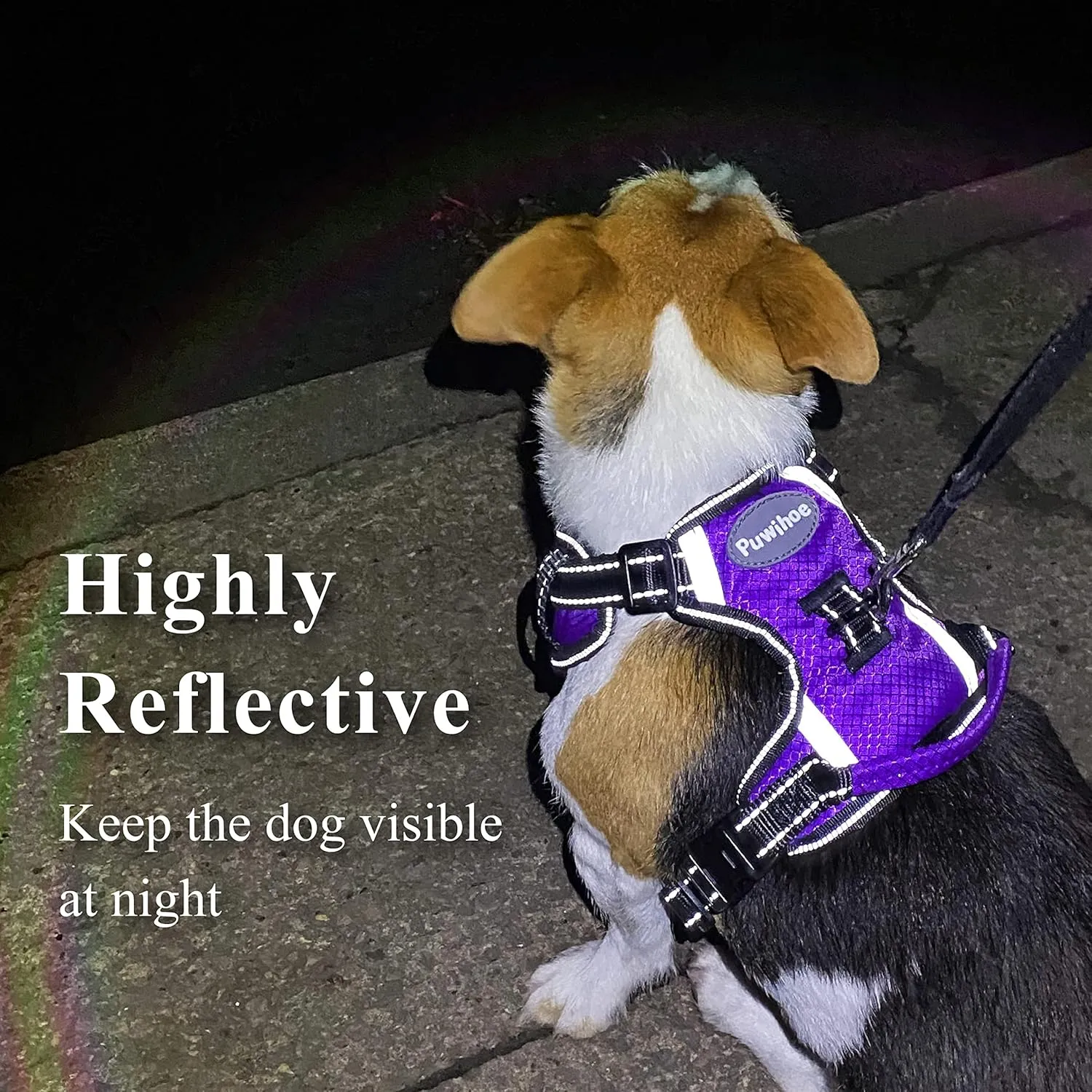 No Pull Dog Harness, Reflective Walking Dog Harness with Easy Control Handle and Front & Back Clips,Adjustable Breathable Soft Padded Dog Vest Harness for Large Medium Small Dogs,Purple,XL