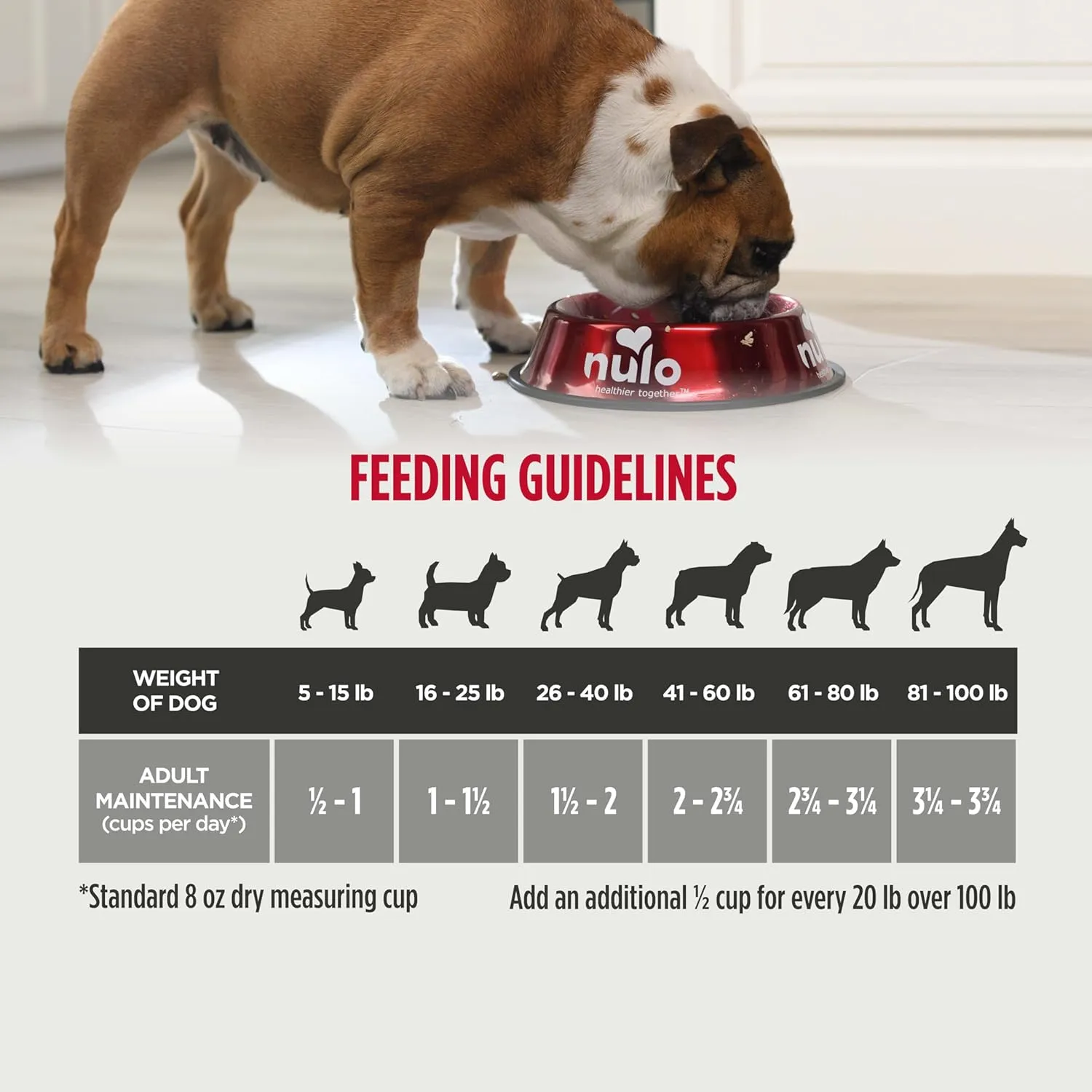Nulo Freestyle Adult Dog Food, Premium All Natural Grain-Free Dry Small Kibble Dog Food, with BC30 Probiotic for Healthy Digestion, and High Animal-Based Protein with no Chicken or Egg Alternatives