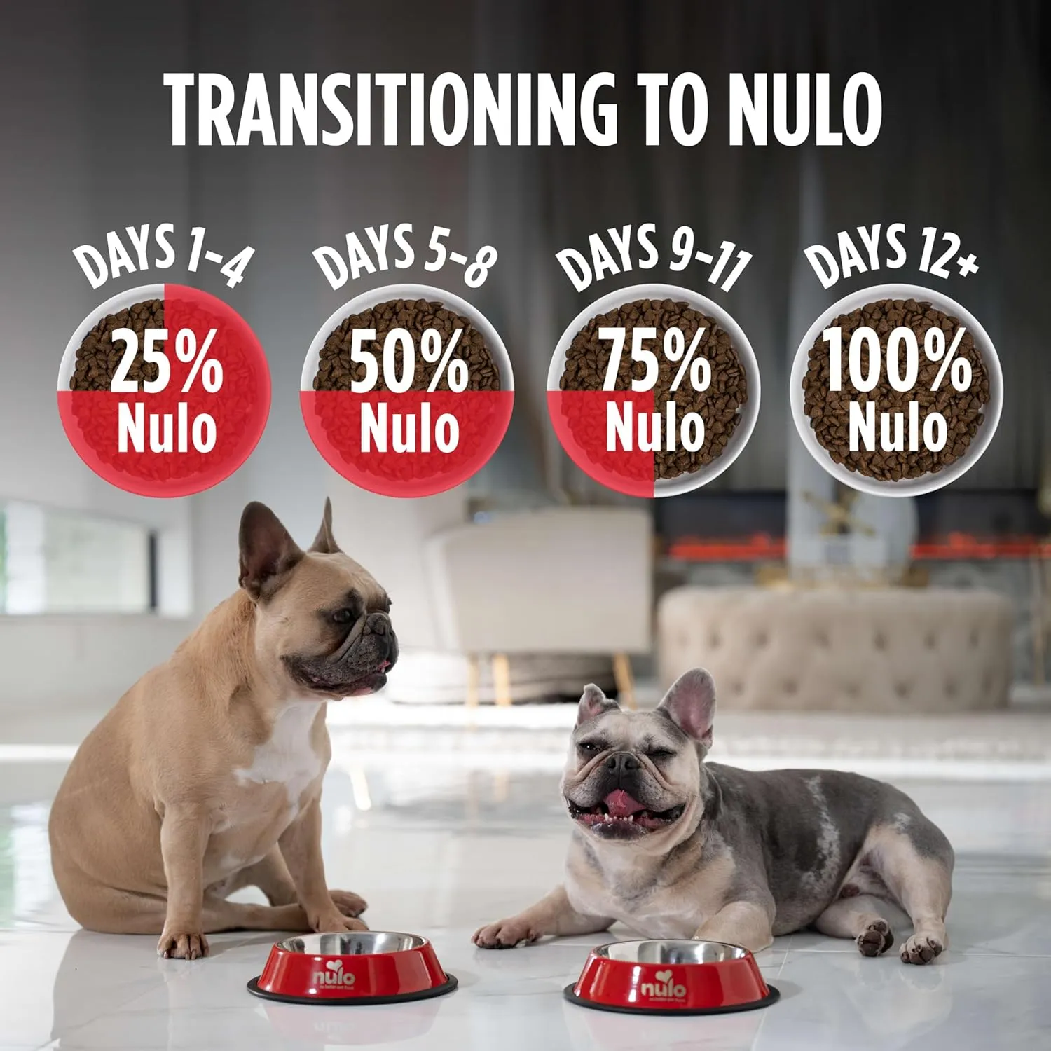 Nulo Freestyle Adult Dog Food, Premium All Natural Grain-Free Dry Small Kibble Dog Food, with BC30 Probiotic for Healthy Digestion, and High Animal-Based Protein with no Chicken or Egg Alternatives