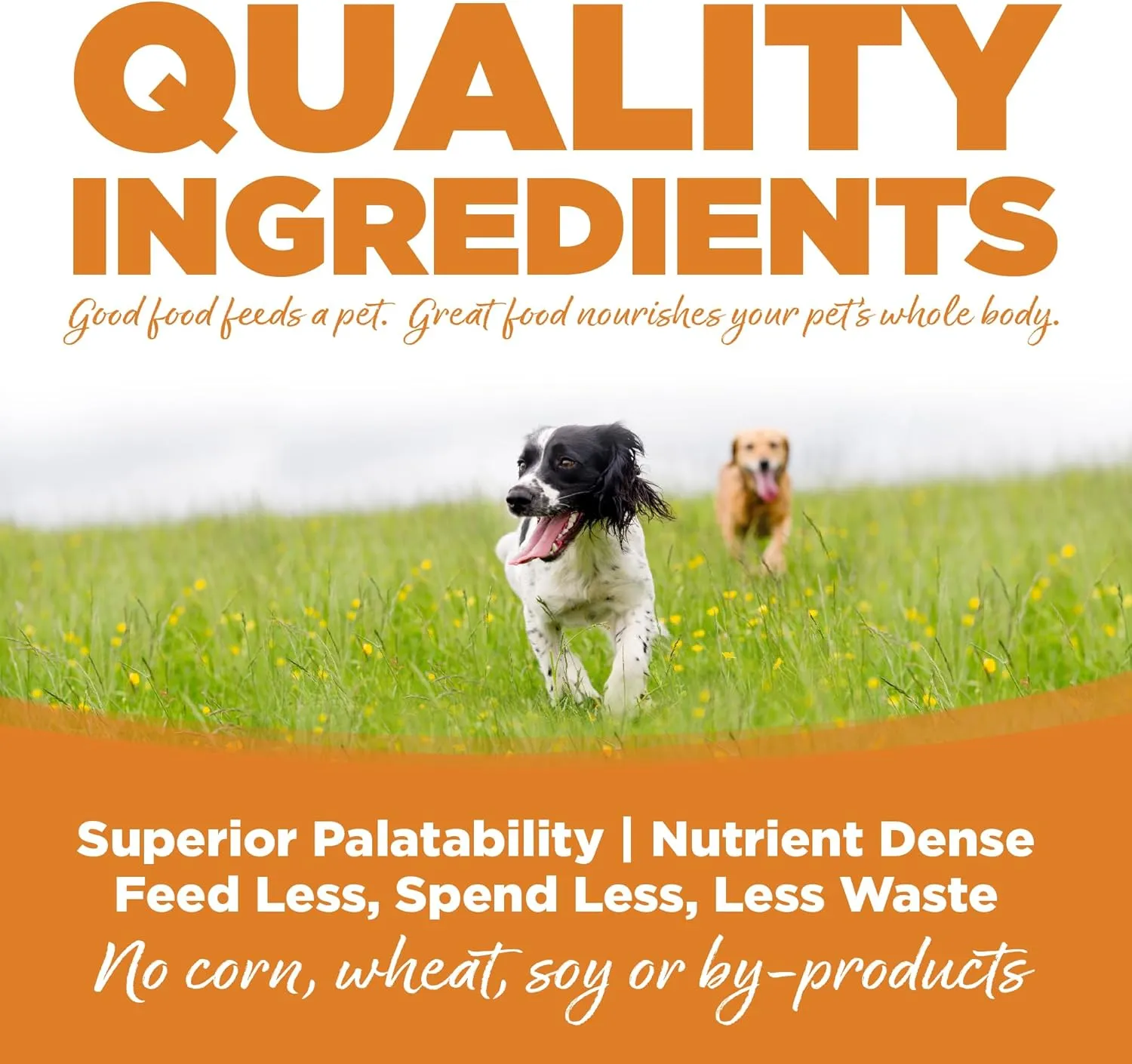 NutriSource Adult Dry Dog Food, Lamb Meal and Rice, 12LB