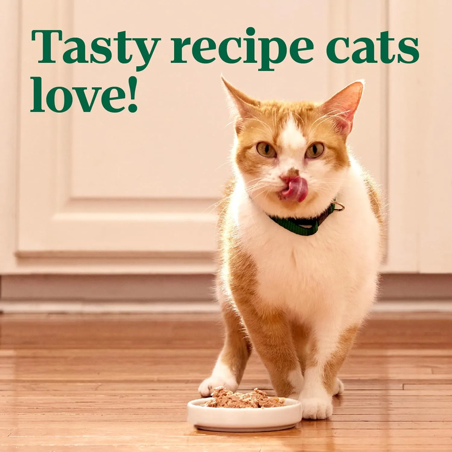 Nutro Perfect Portions Wet Cat Food Pat Turkey Recipe, 2.64 oz. Twin-Pack Trays (24 Count, Pack of 1)