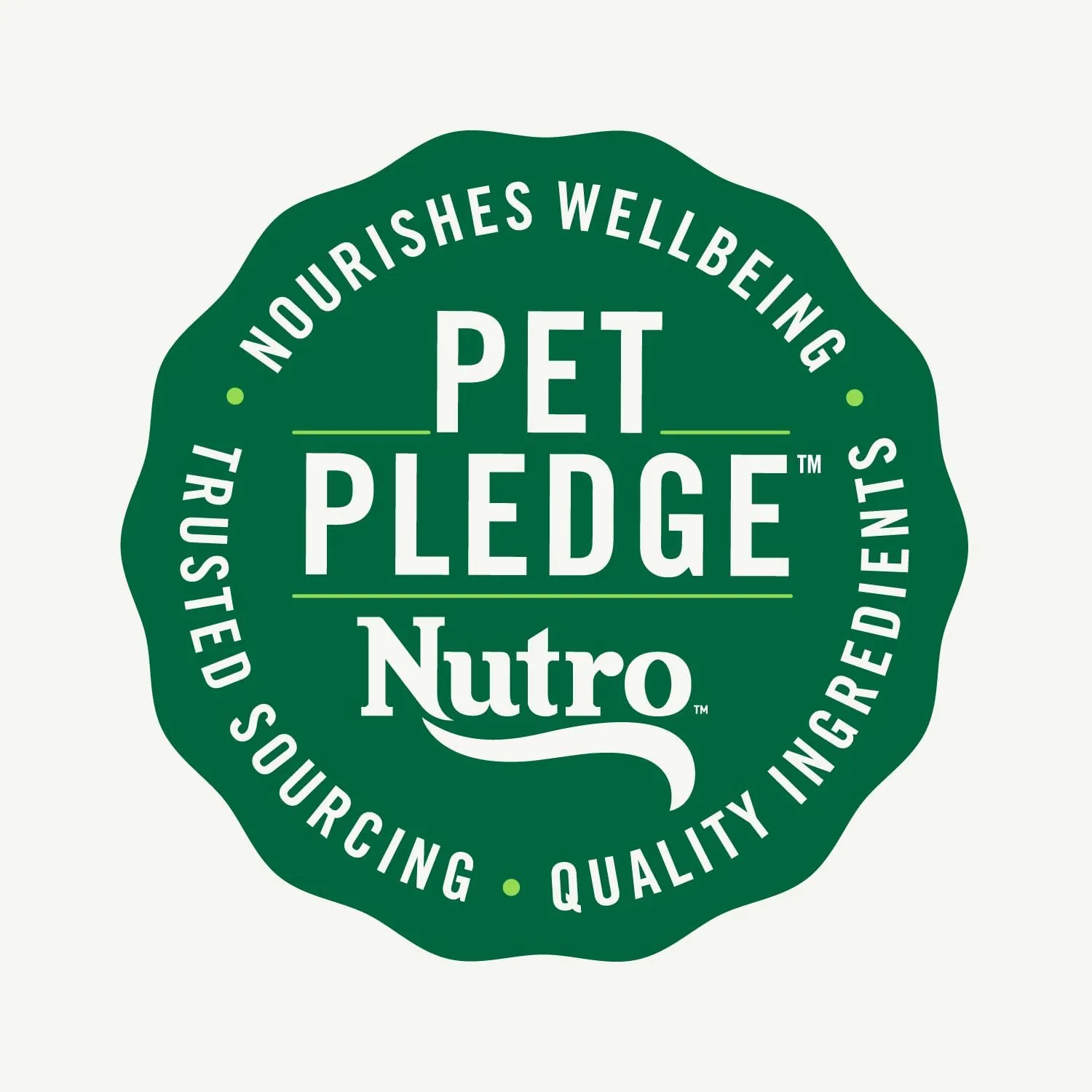Nutro Perfect Portions Wet Cat Food Pat Turkey Recipe, 2.64 oz. Twin-Pack Trays (24 Count, Pack of 1)