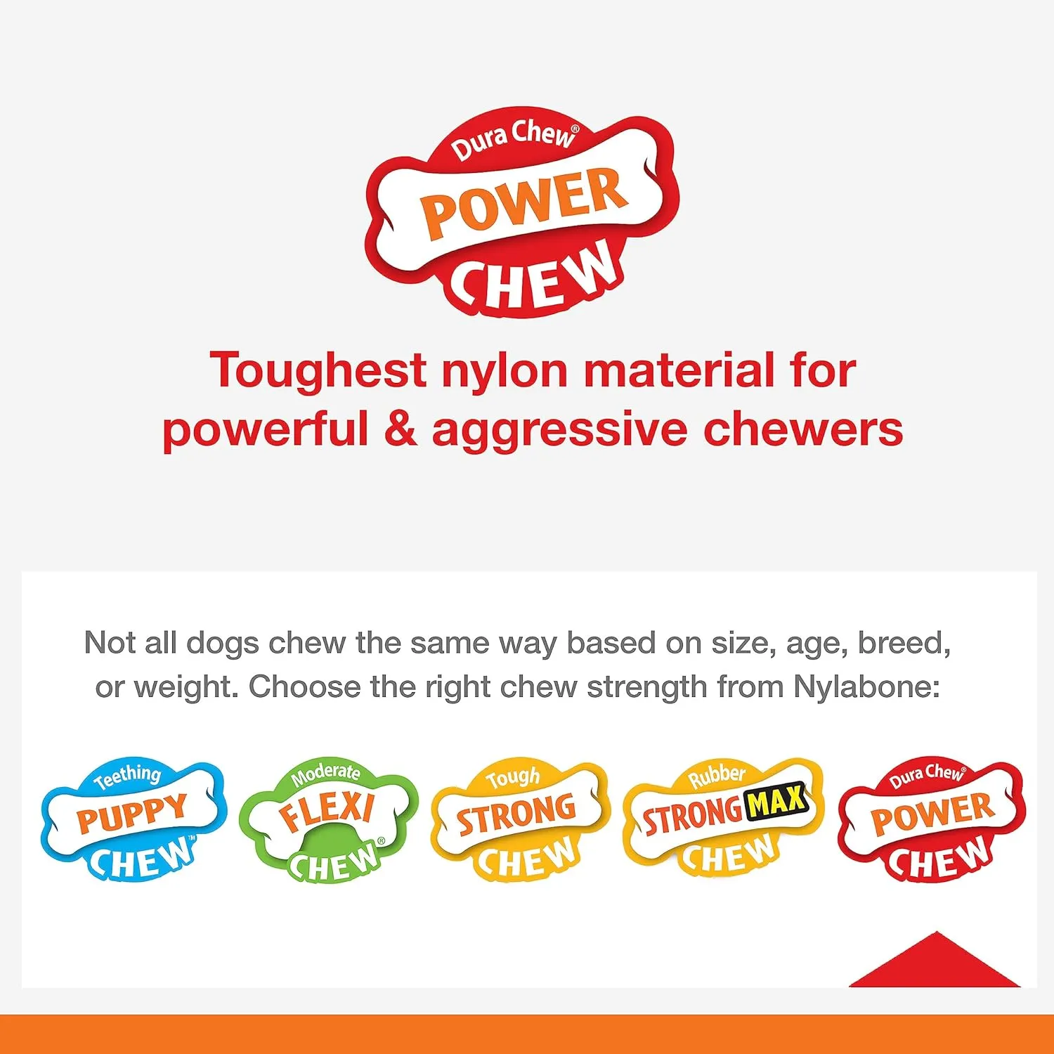 Nylabone Power Chew Knuckle Bone Pop-in Treat-Toy with Refills, Treat Dispensing Pouch Toys for Dogs, Chicken Flavor, Medium - Up to 35 lbs, 2 Pack