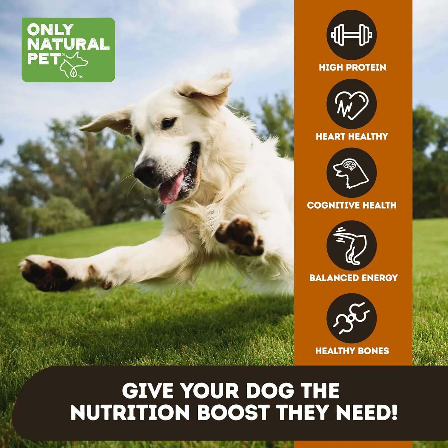 Only Natural Pet Raw Toppers Freeze Dried Beef and Tripe Recipe - Protein Packed, Great Tasting Freeze Dried Raw Food Topper for Dogs - 5.5 OZ Bag 2 Pack